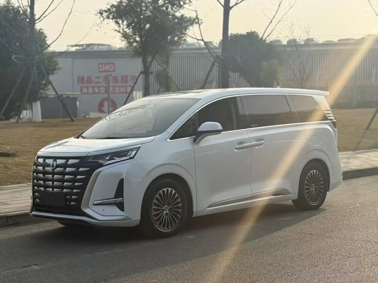 Denza D9 DM  из Китая