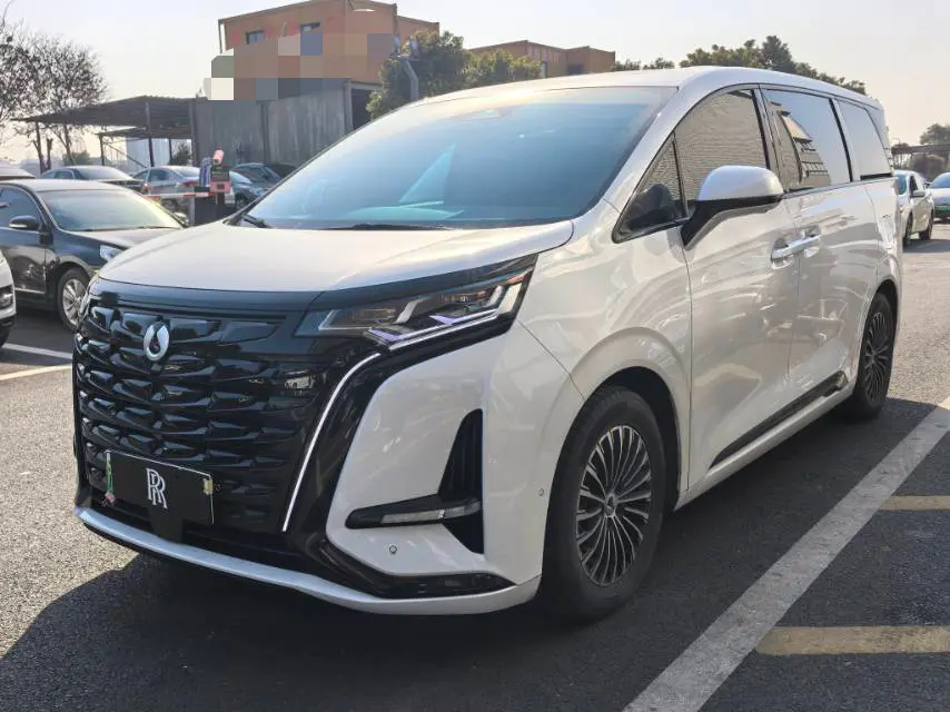 Denza D9 DM  из Китая