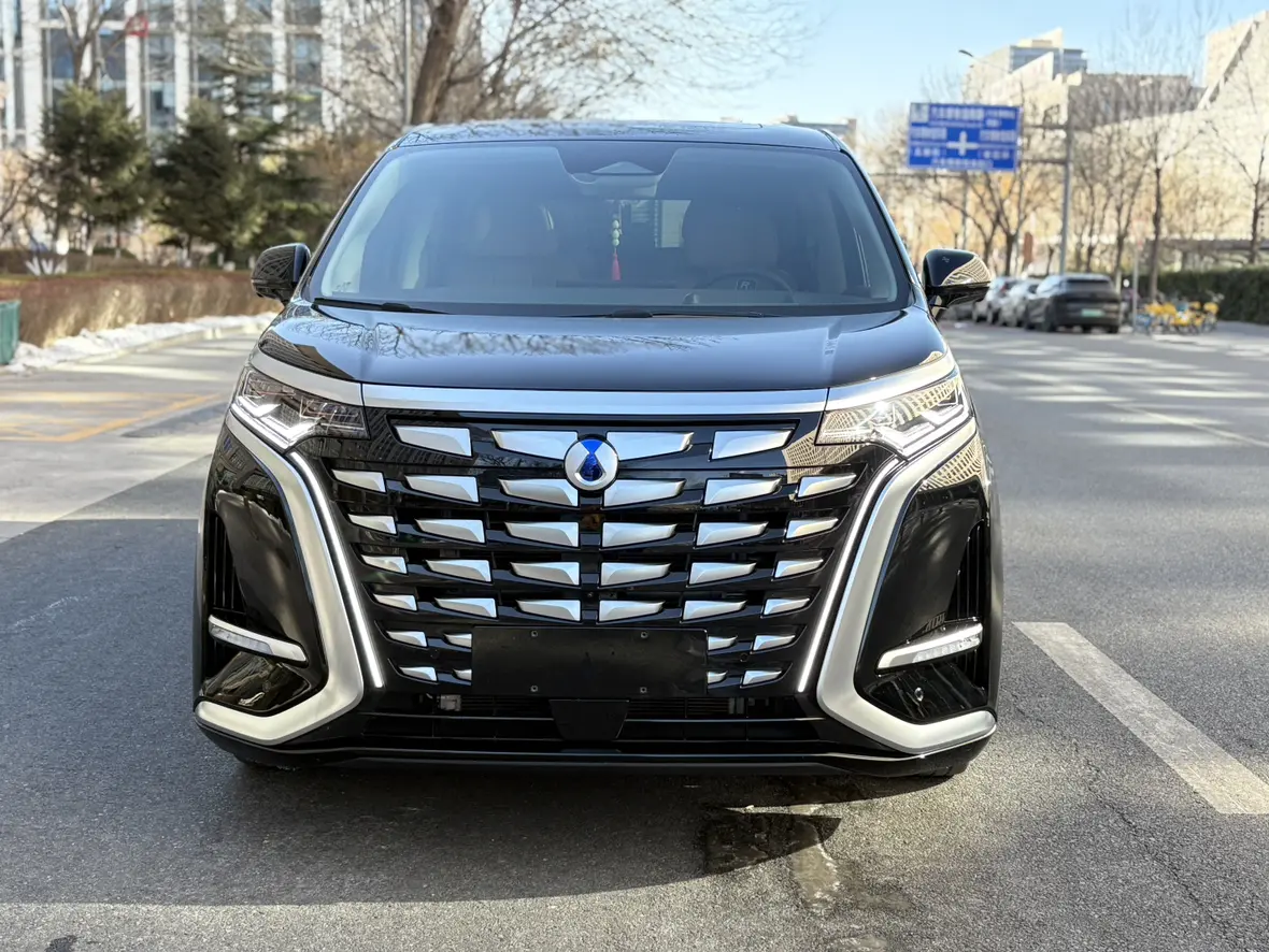 Denza D9 DM  из Китая