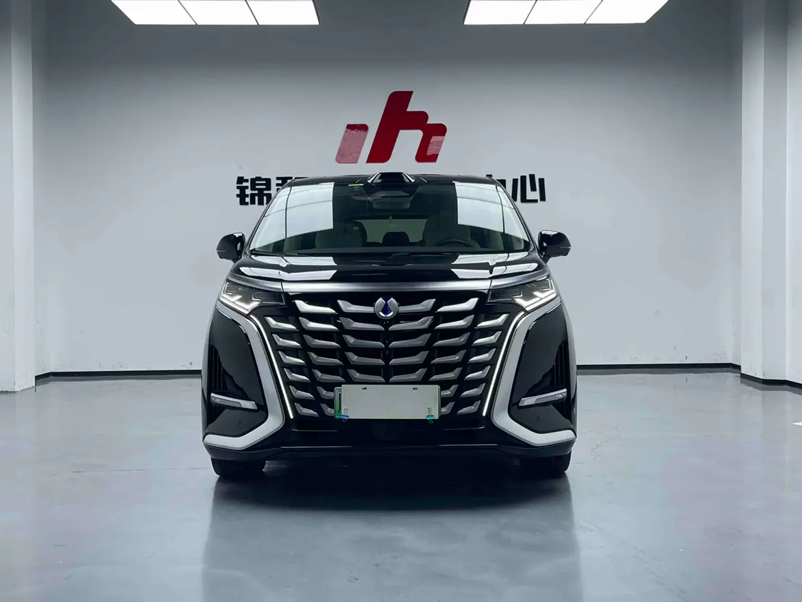 Denza D9 DM  из Китая