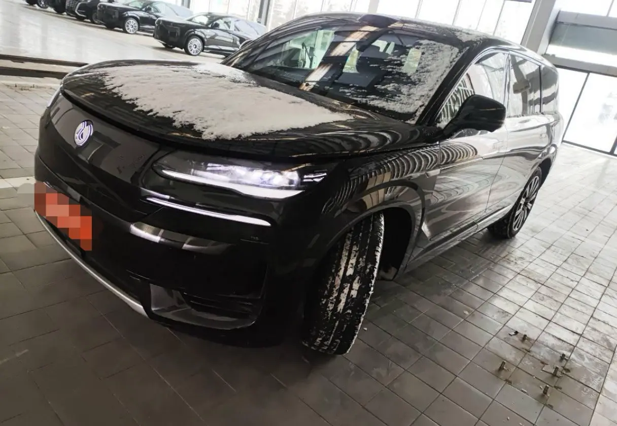 Denza Tengzhong N9 DM  из Китая