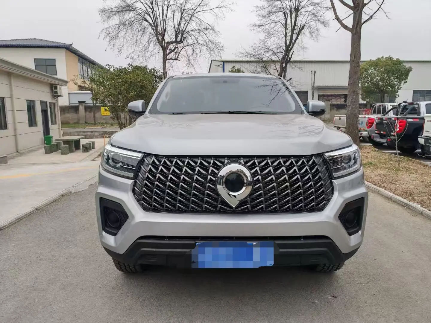 Great Wall Gun  из Китая