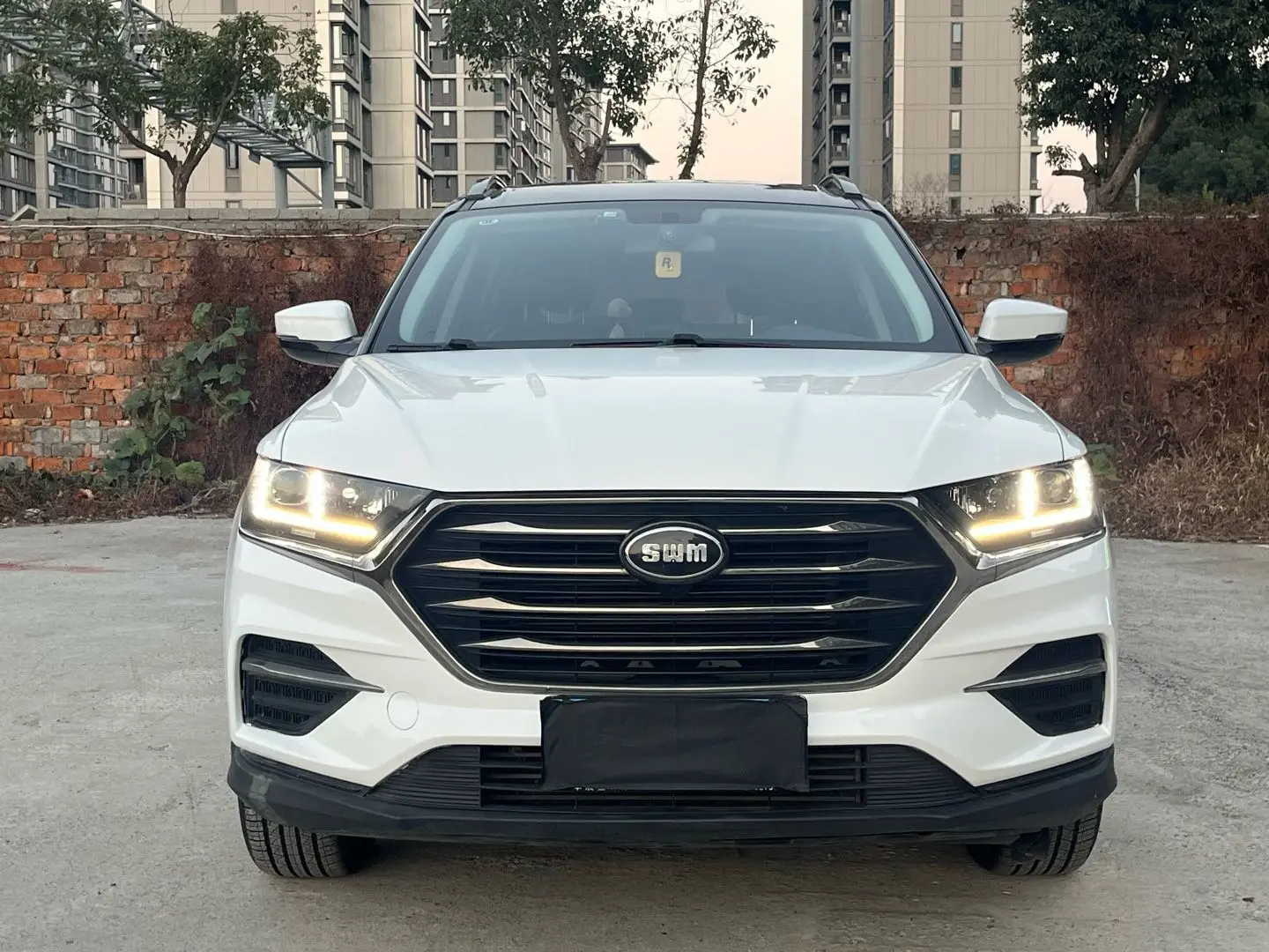 SWM SWG01  из Китая