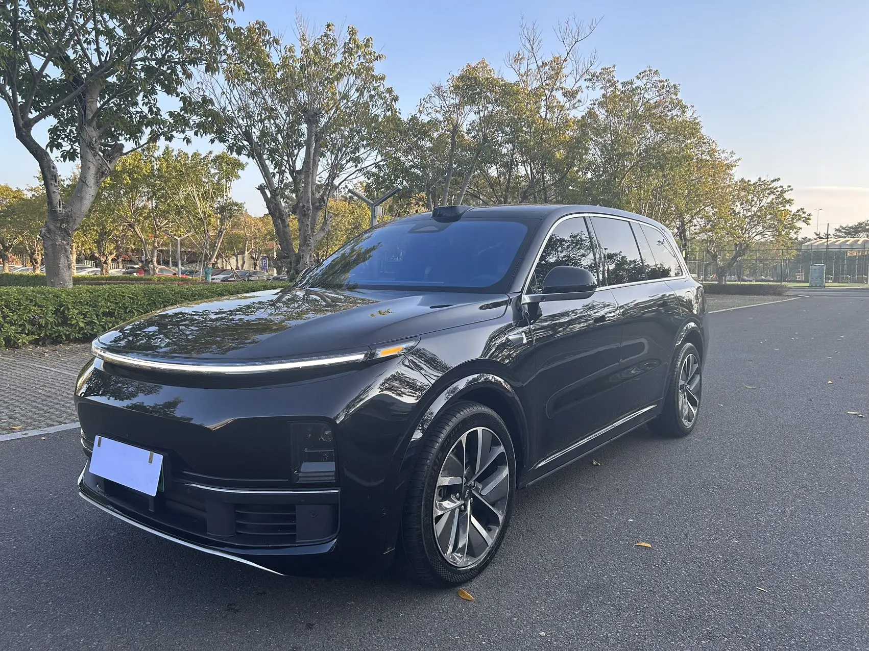 Li L9 (Ideal L9)  из Китая