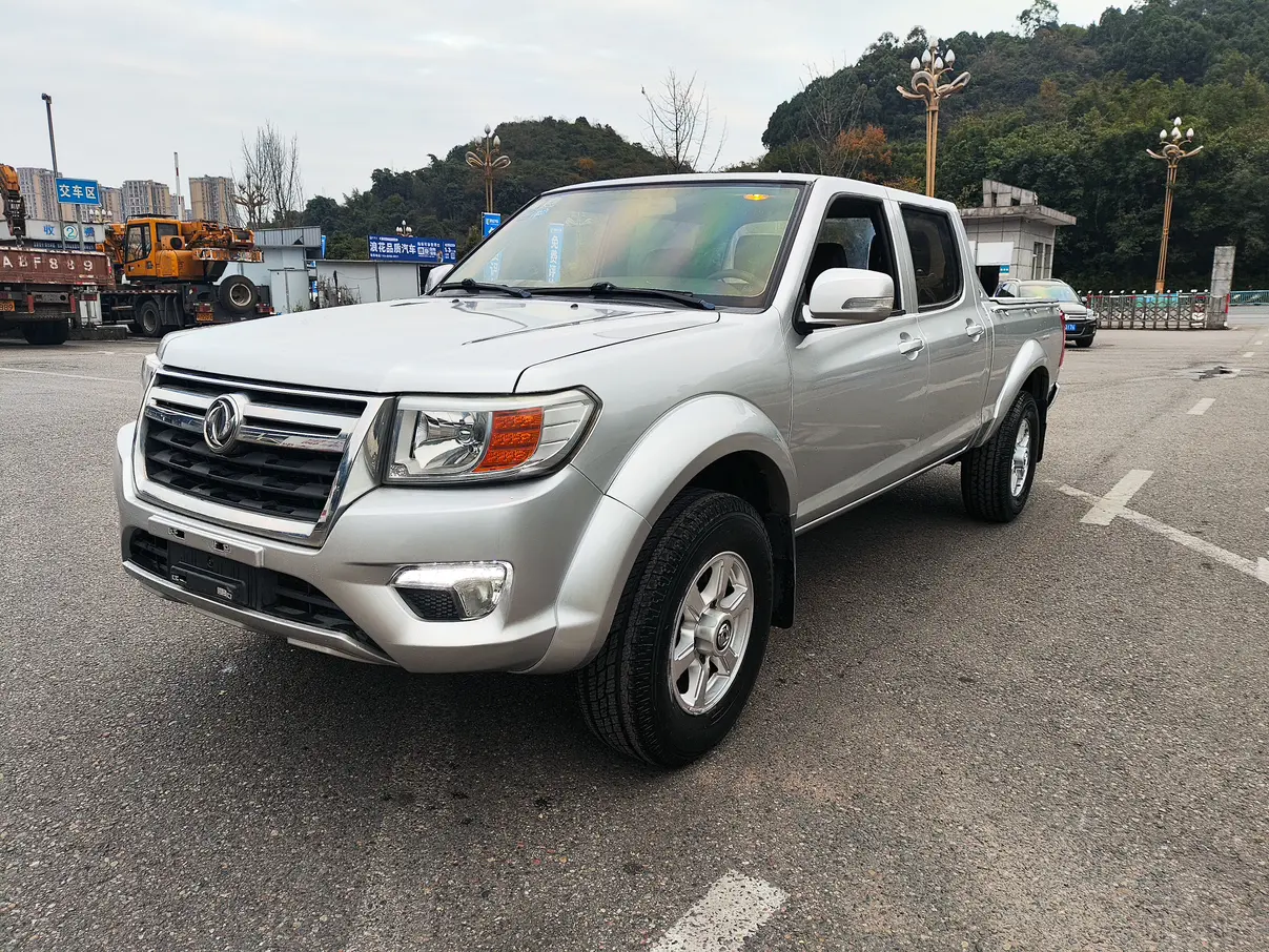 Dongfeng Ruiqi  из Китая