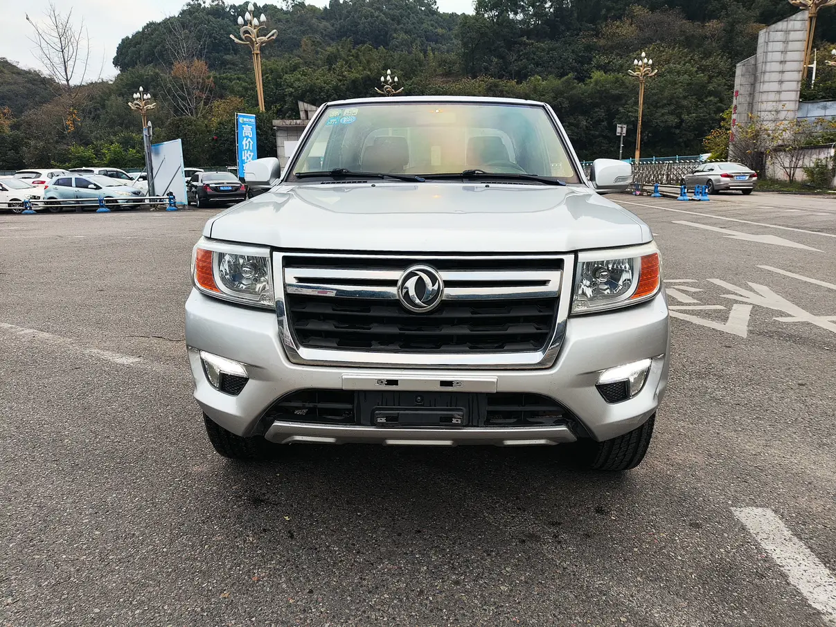 Dongfeng Ruiqi  из Китая