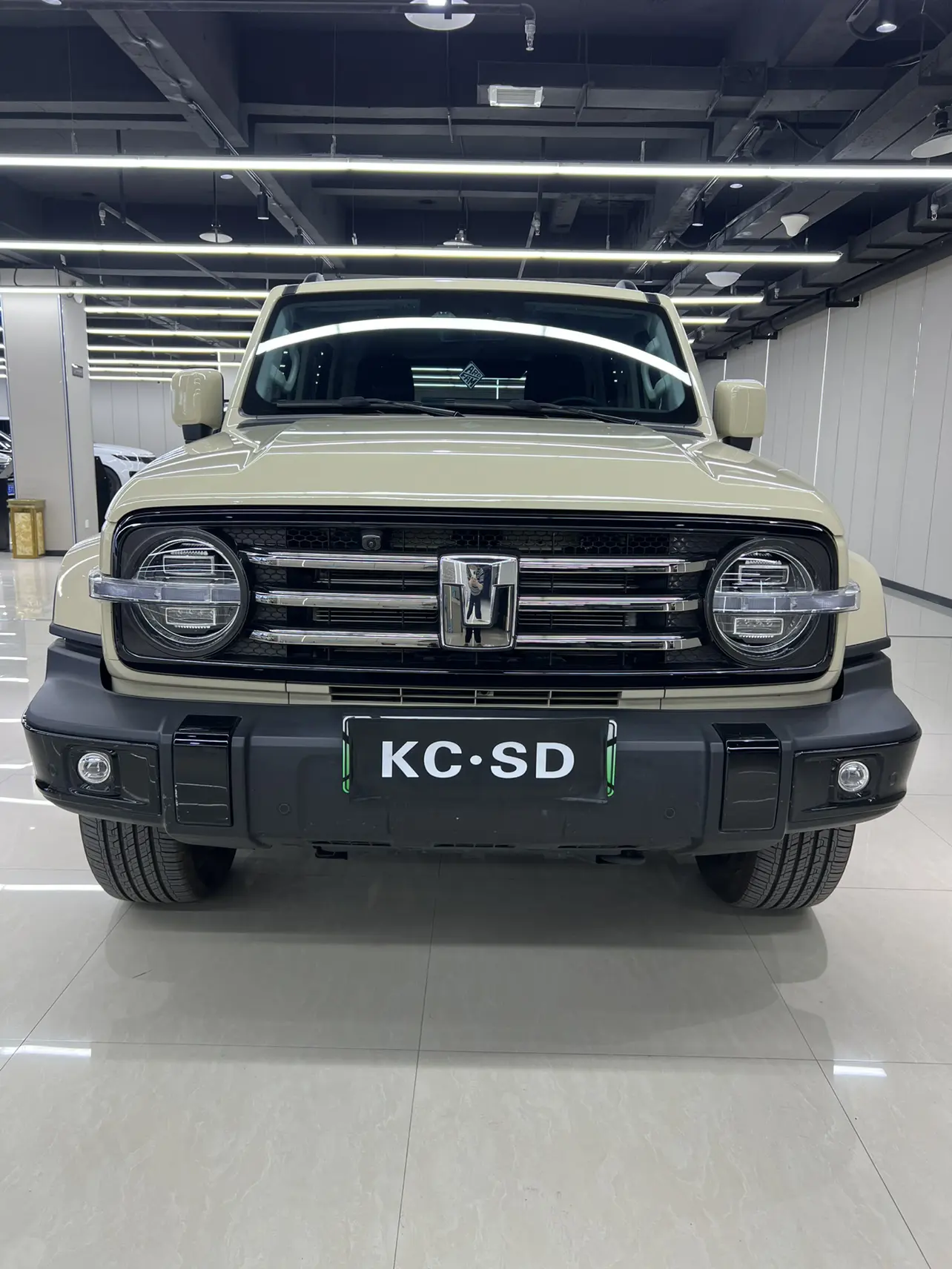 Tank 300 Hi4-T  из Китая