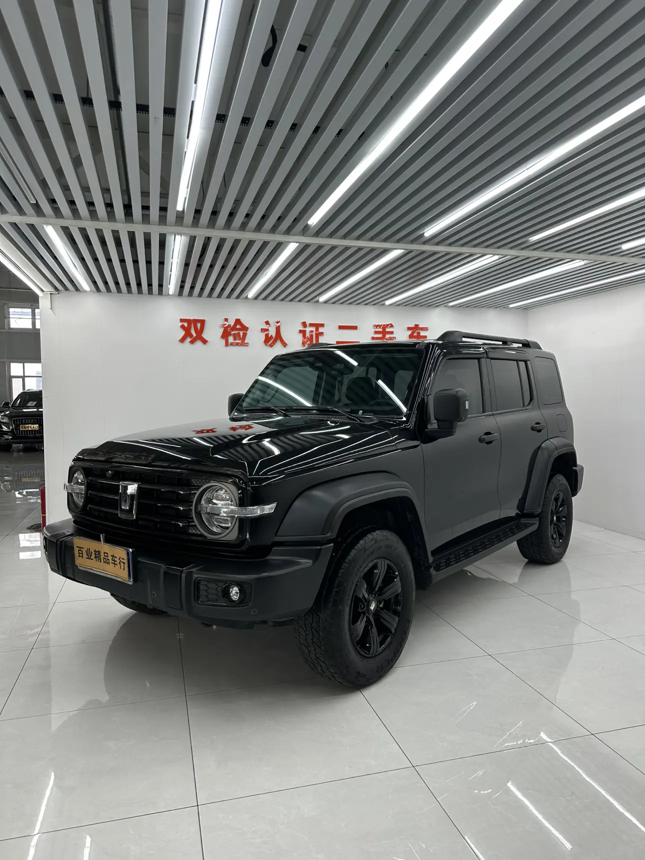 Tank 300  из Китая