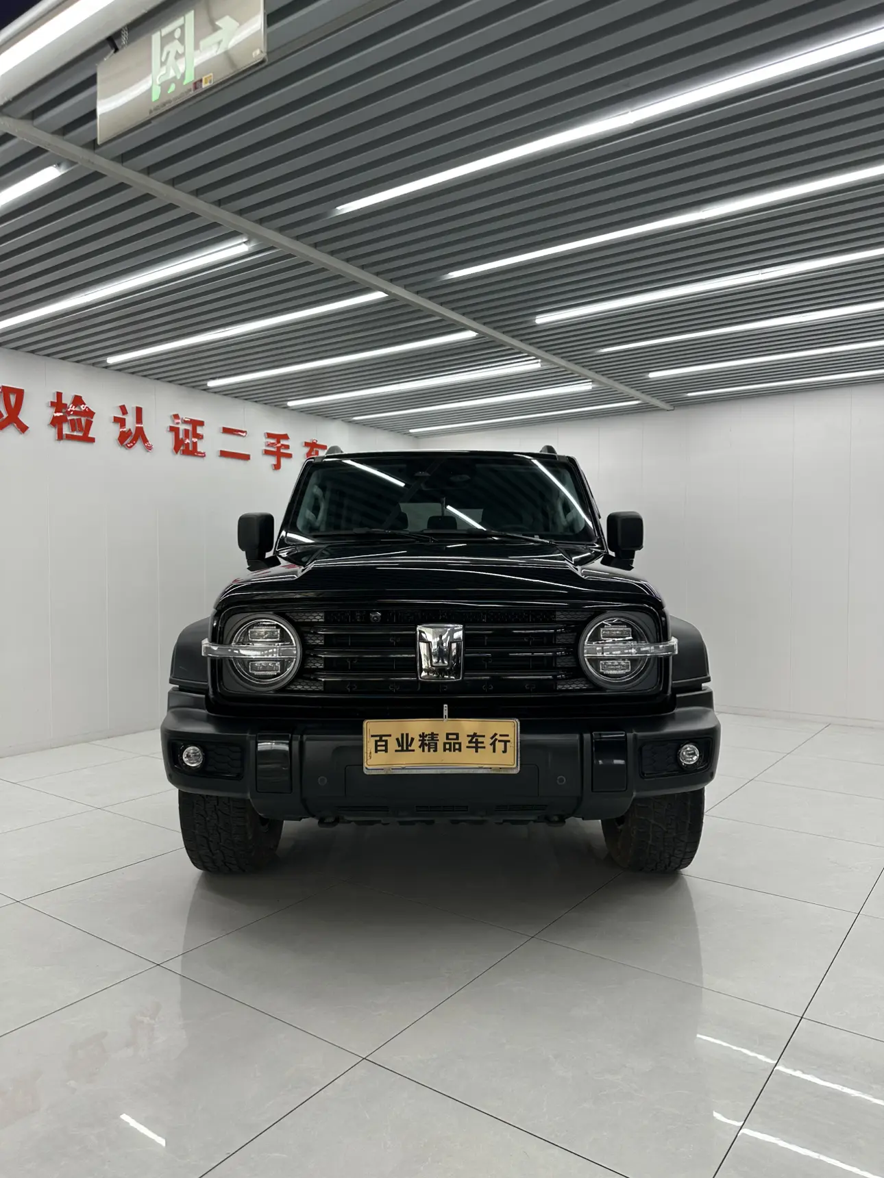 Tank 300  из Китая