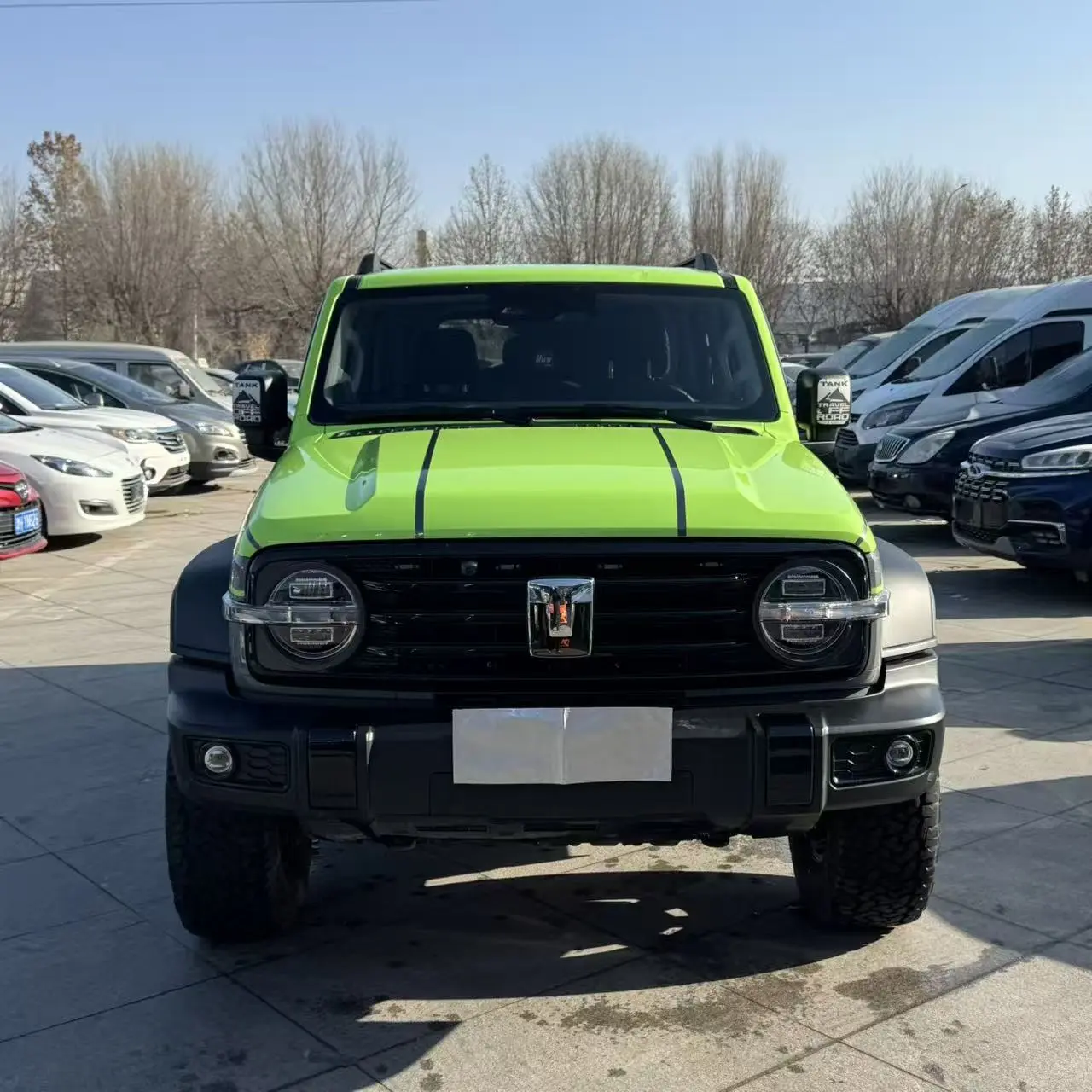 Tank 300  из Китая