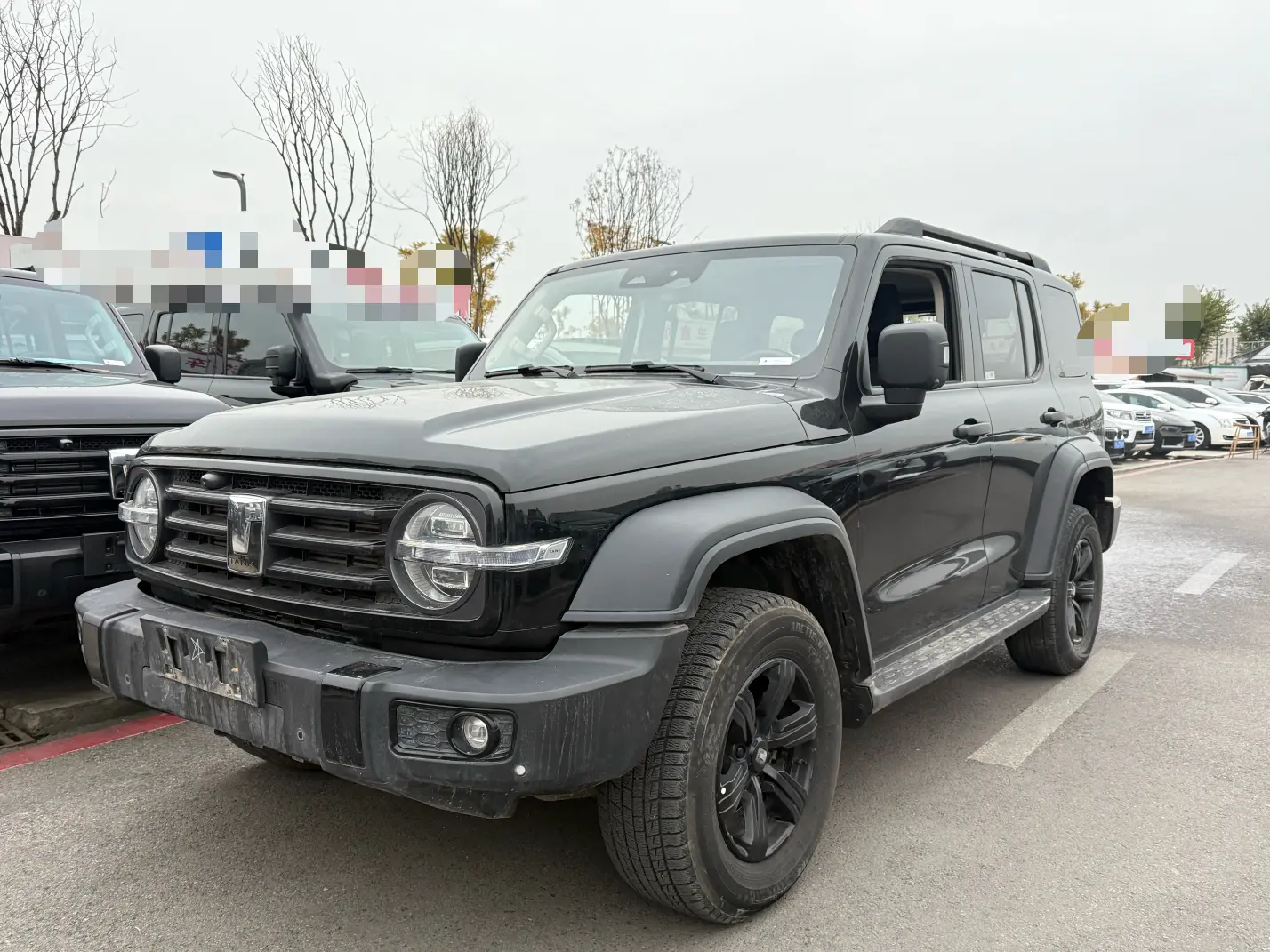 Tank 300  из Китая