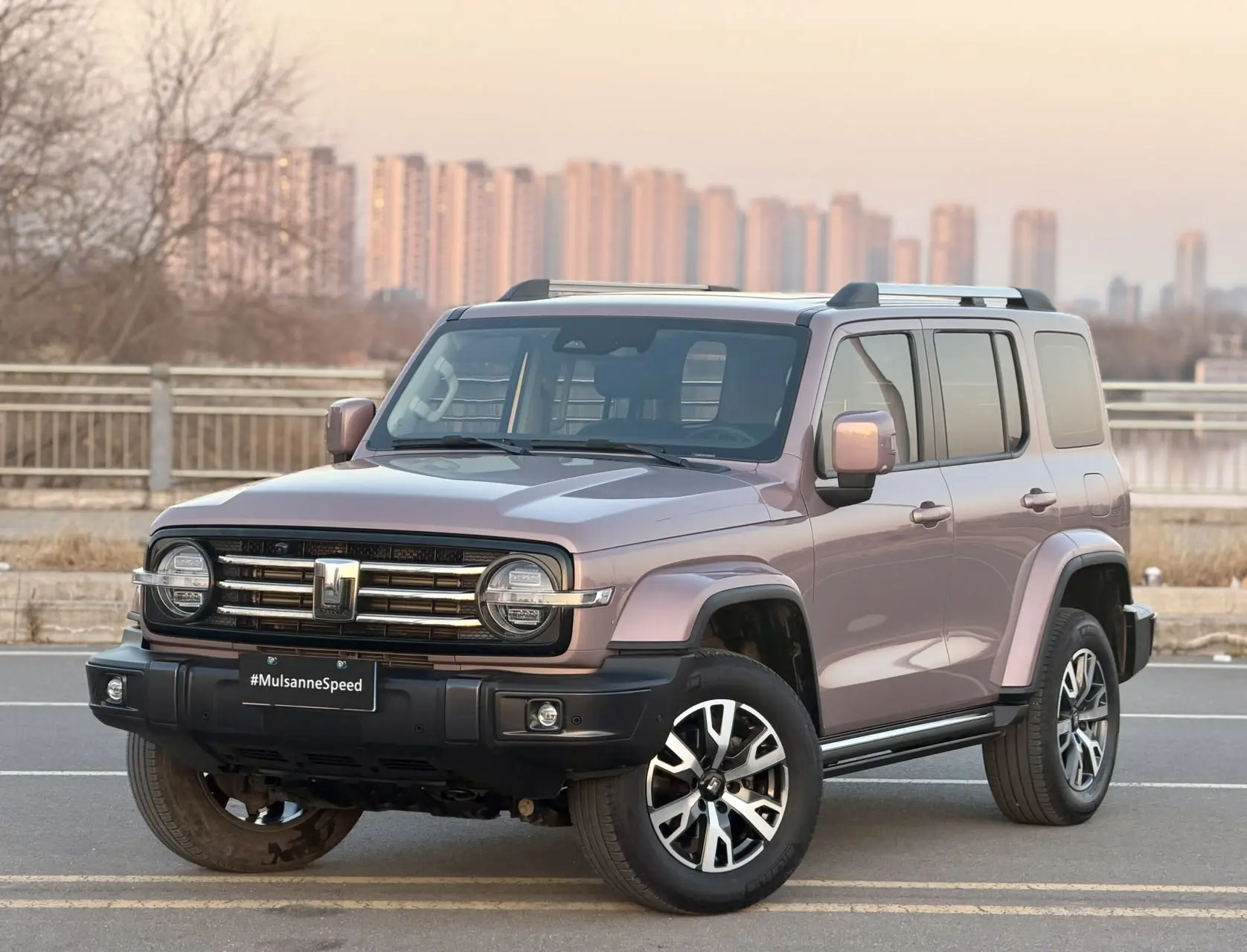 Tank 300  из Китая