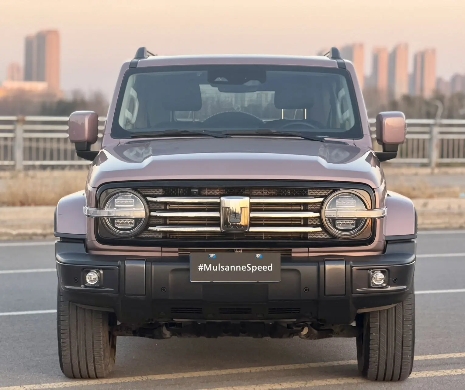 Tank 300  из Китая