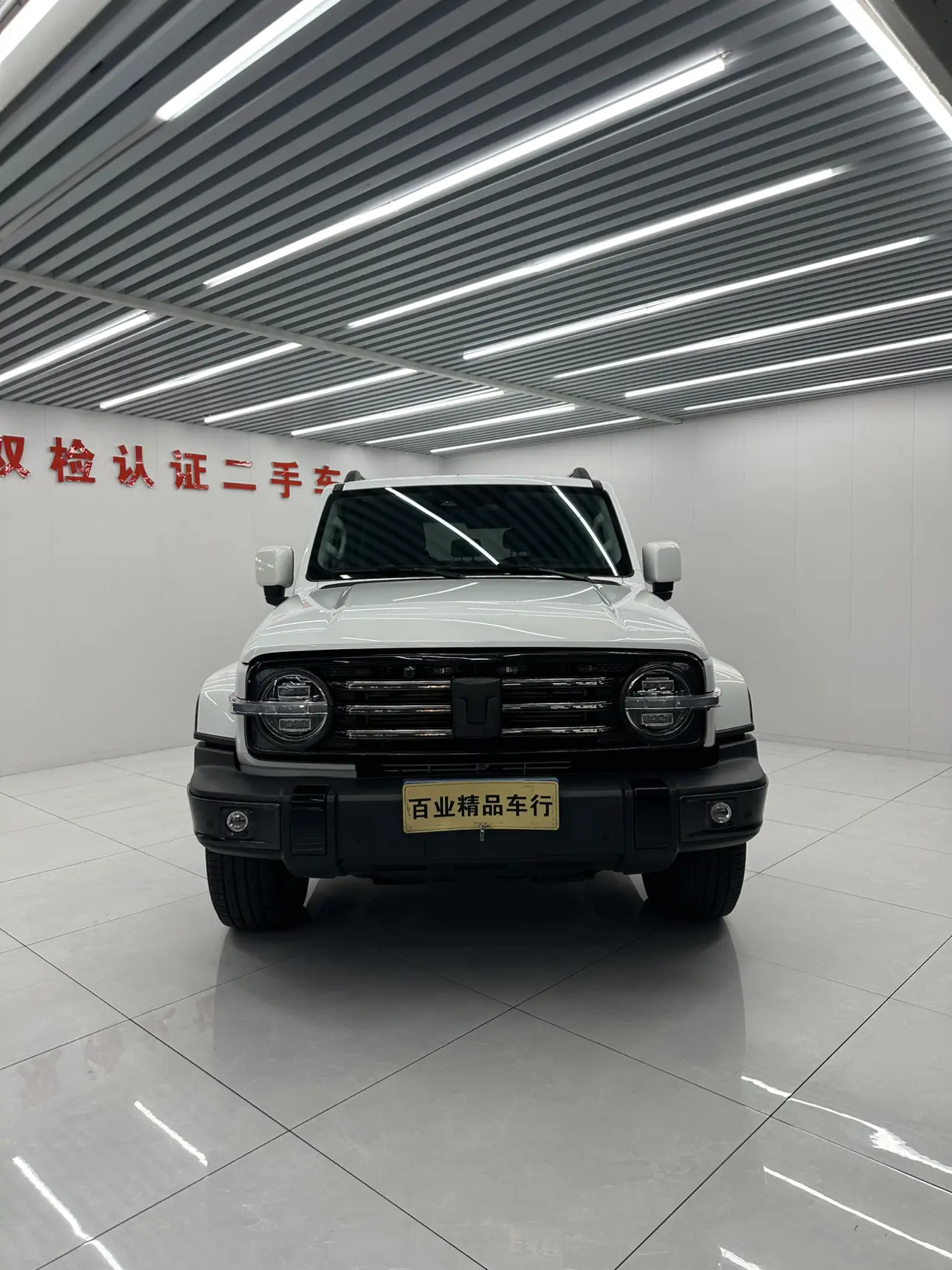 Tank 300  из Китая