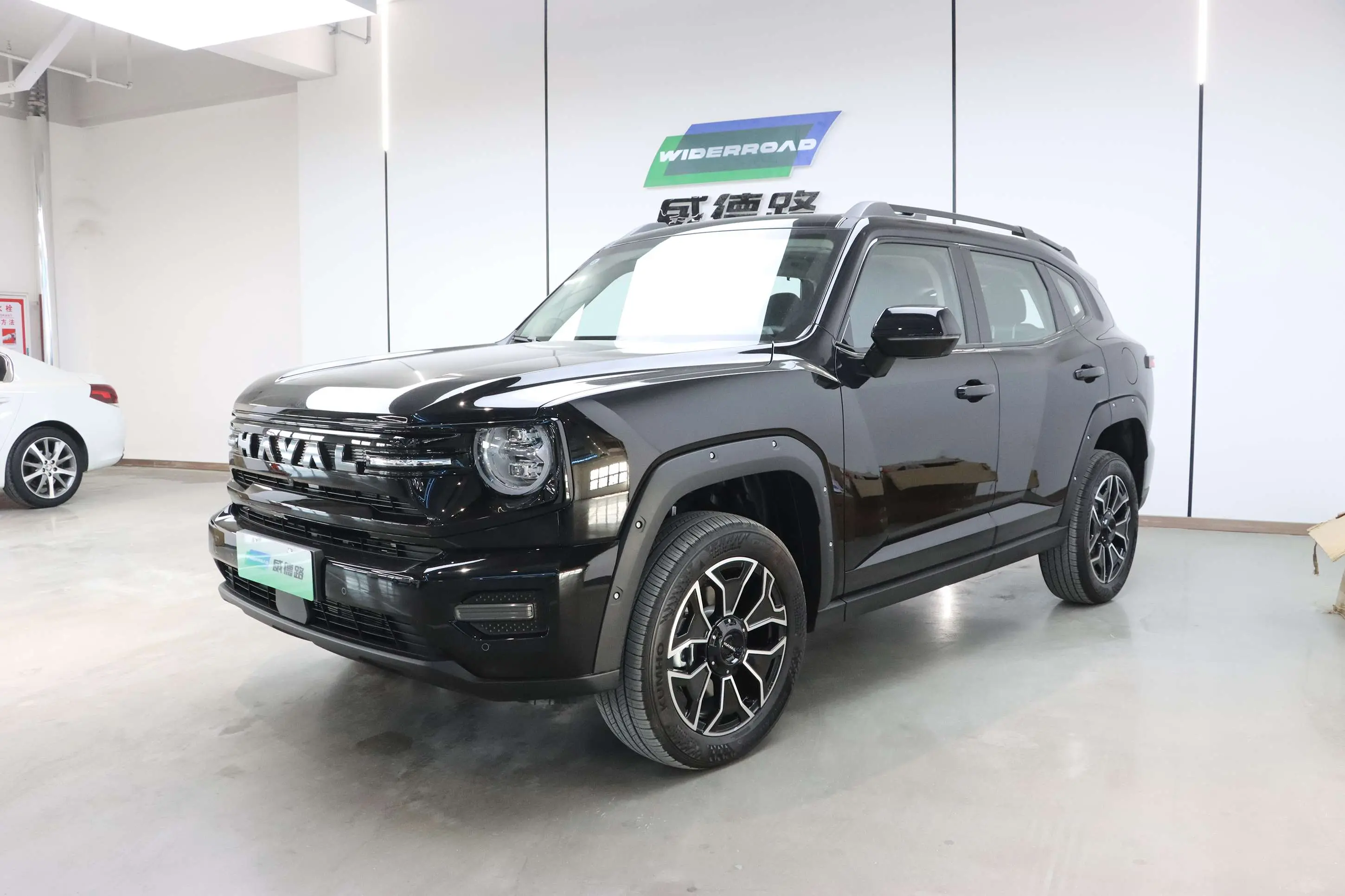 Haval Big Dog PLUS PHEV  из Китая