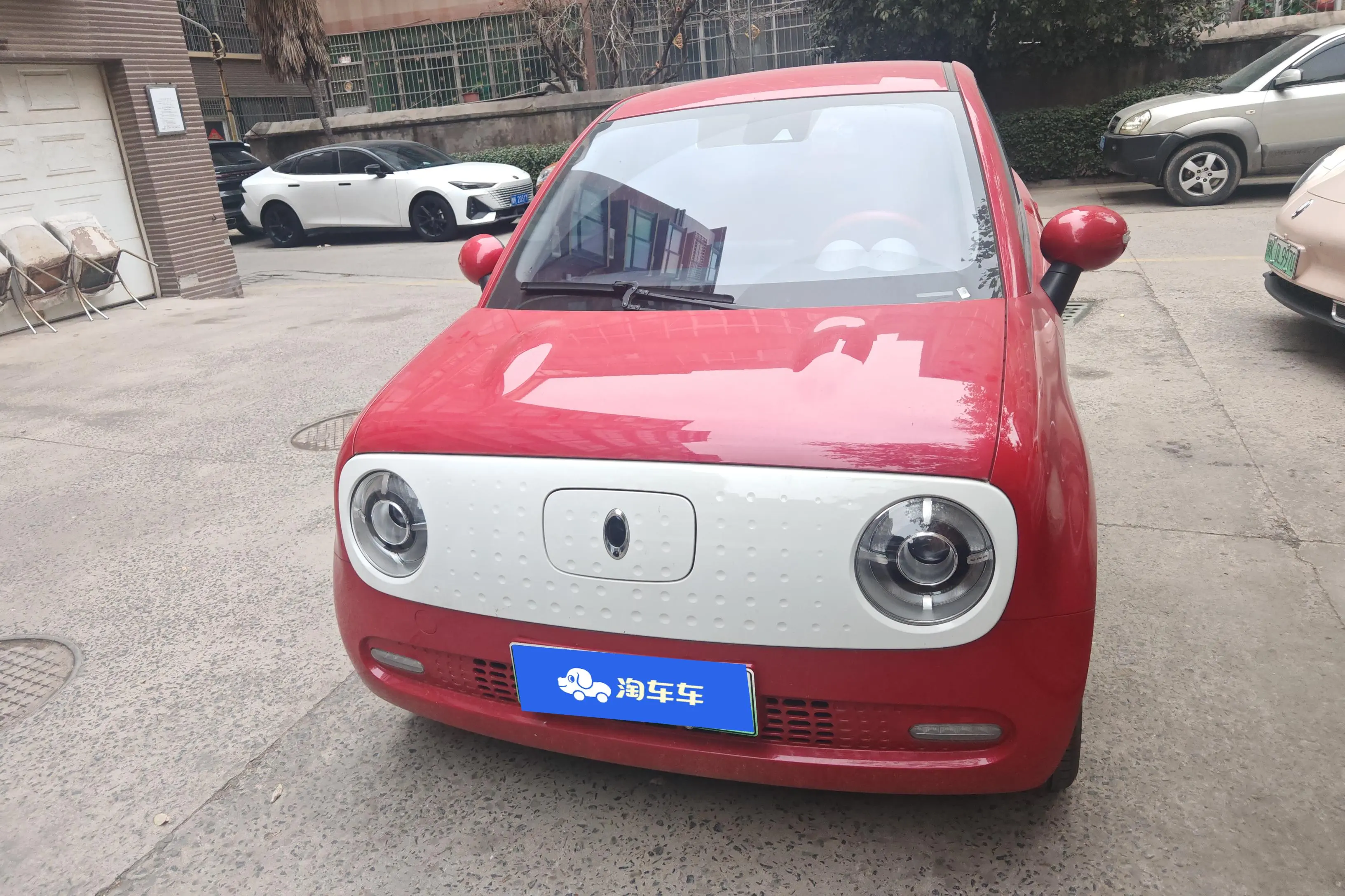 ORA Euler black cat  из Китая