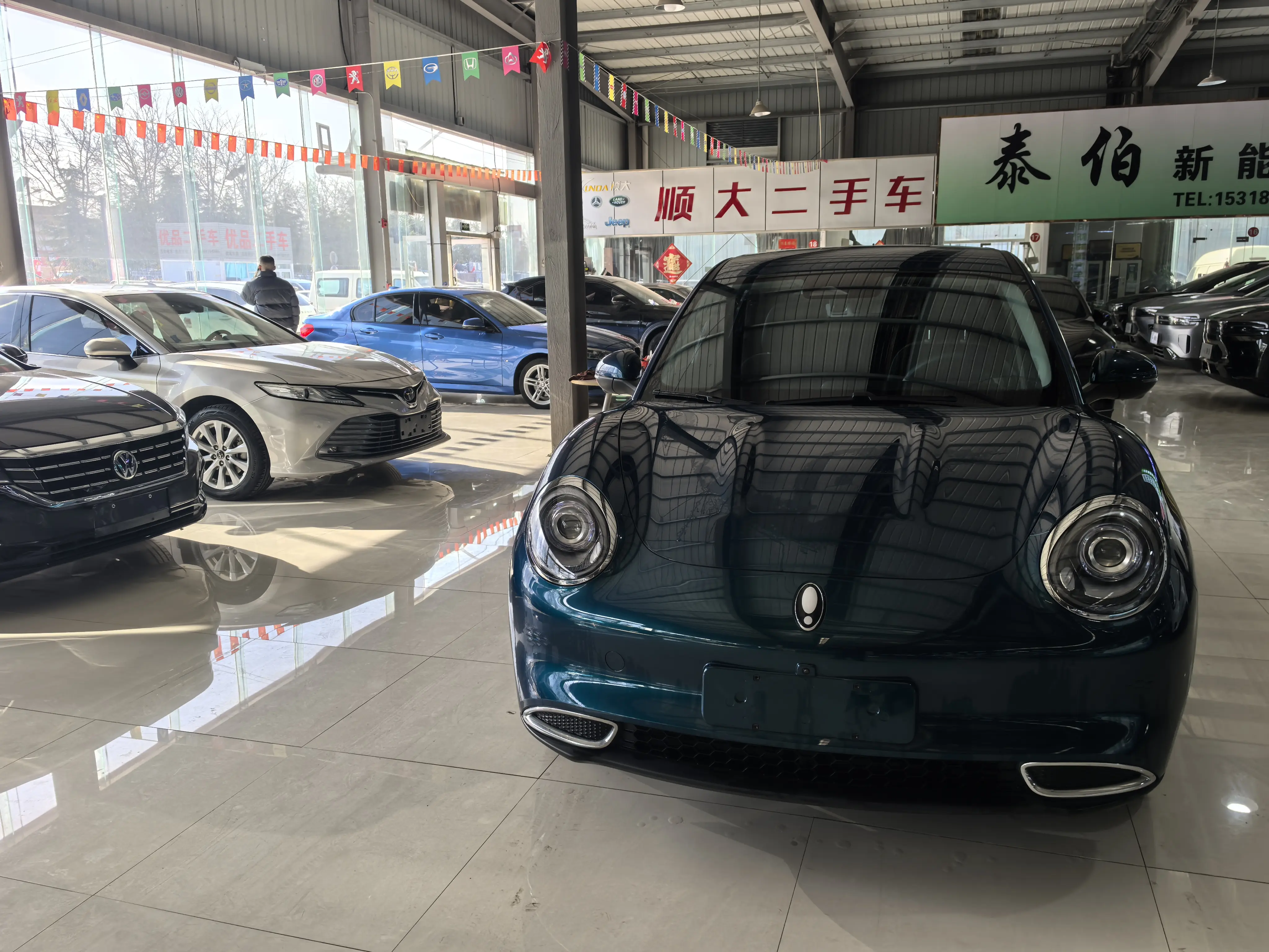 ORA Euler good cat  из Китая