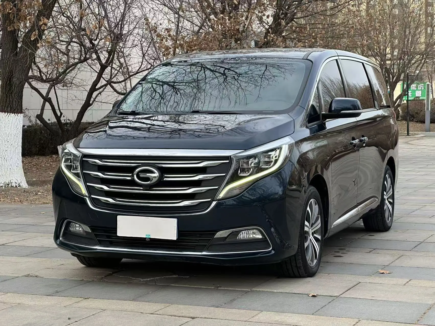 GAC Trumpchi M8  из Китая