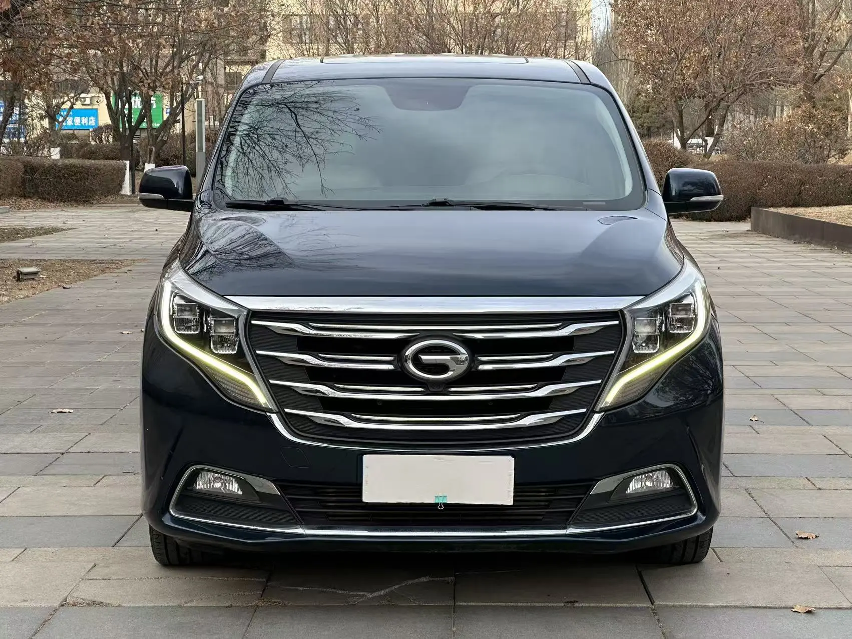 GAC Trumpchi M8  из Китая