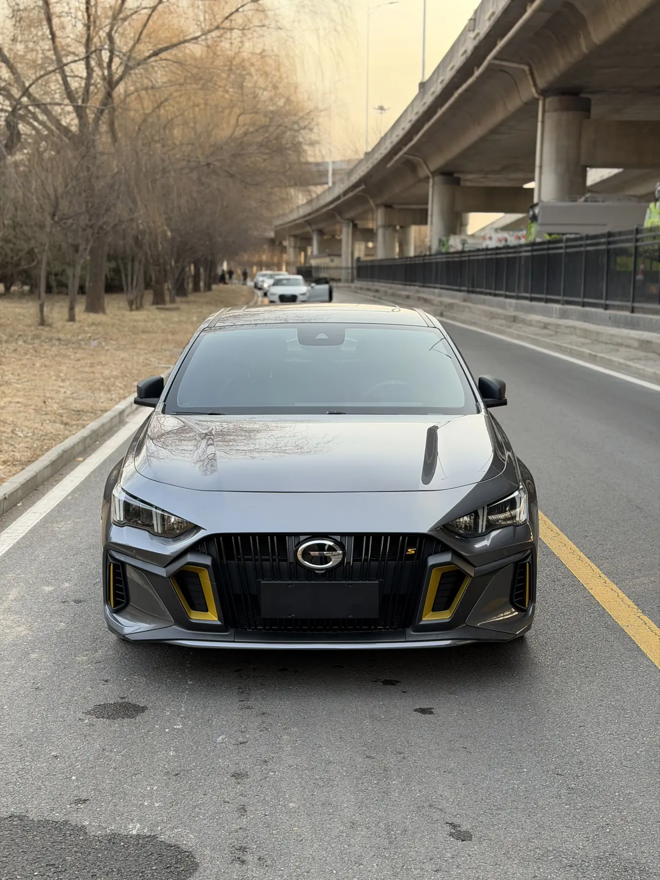 GAC Shadow Leopard  из Китая