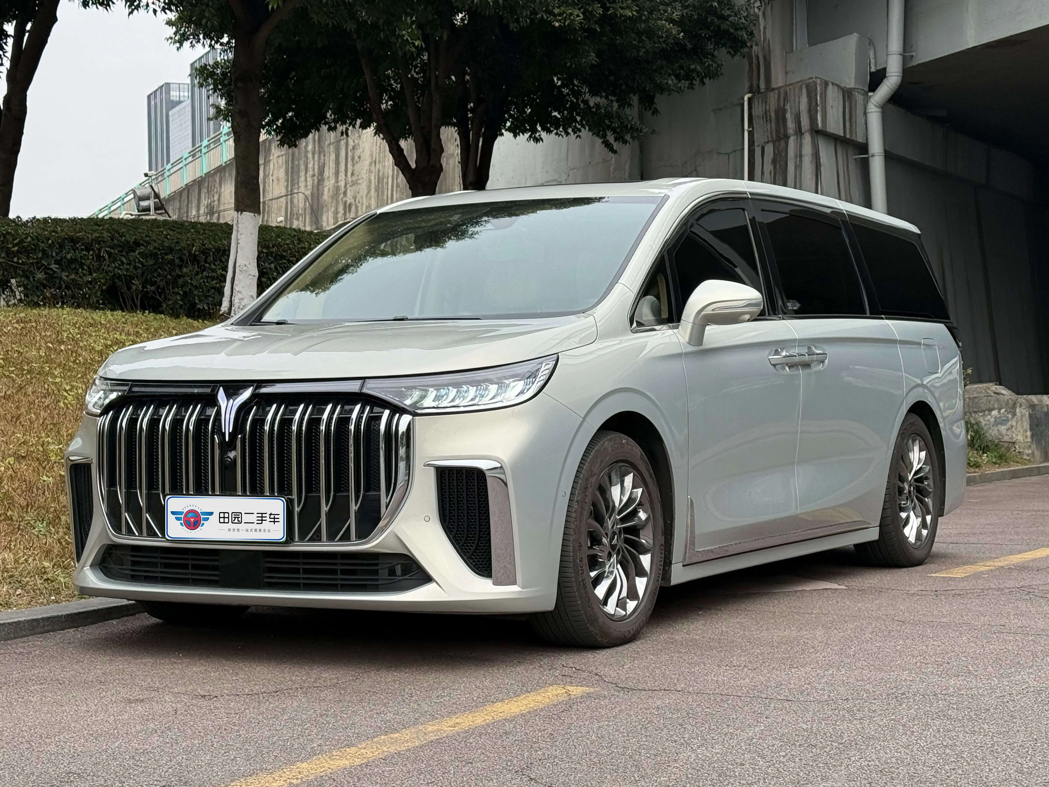 Voyah Lantu Dreamer PHEV  из Китая