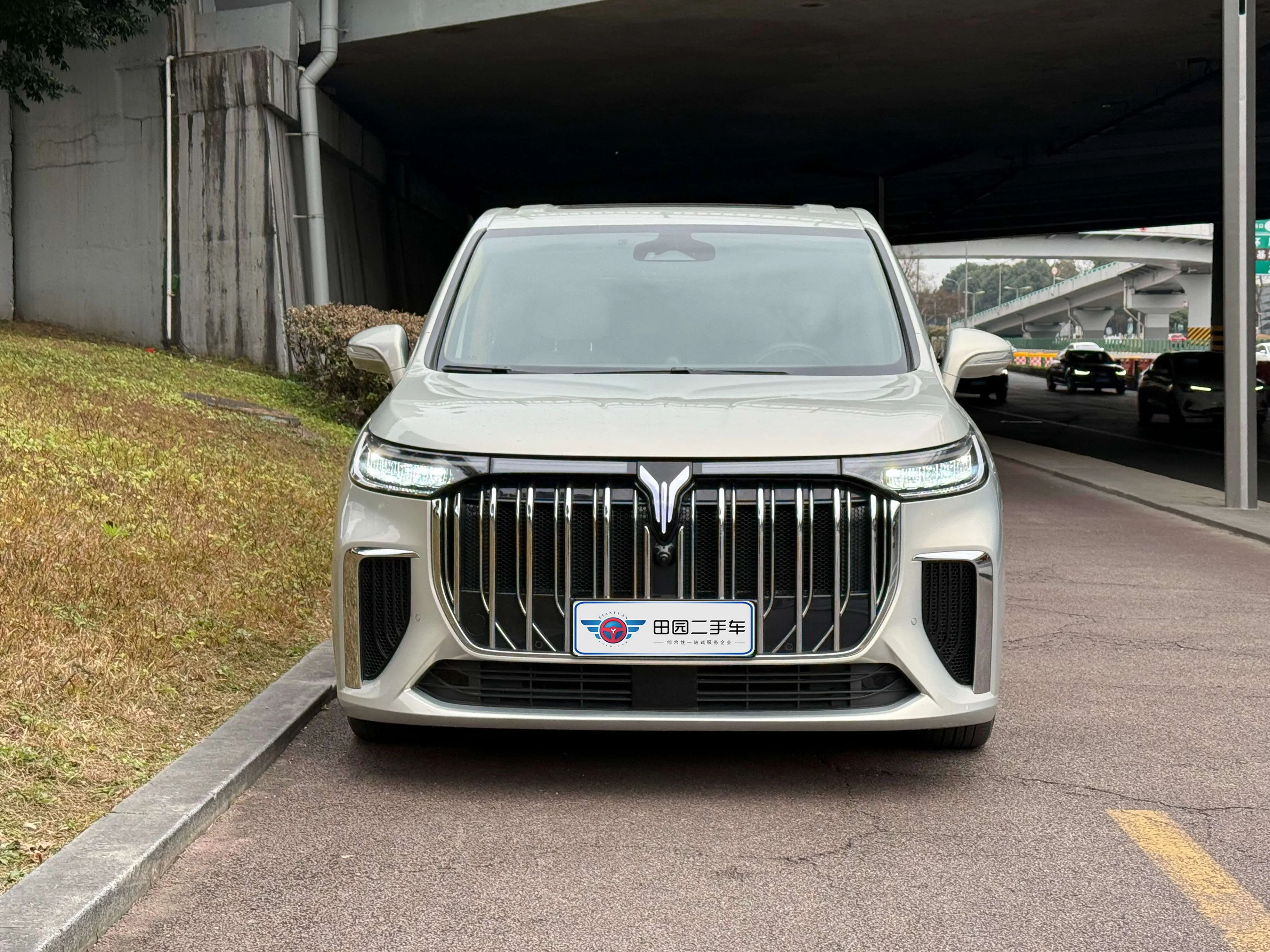 Voyah Lantu Dreamer PHEV  из Китая