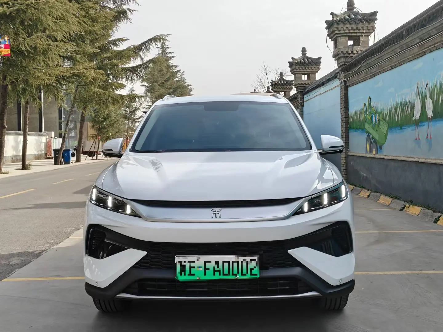 BYD Song Pro DM  из Китая