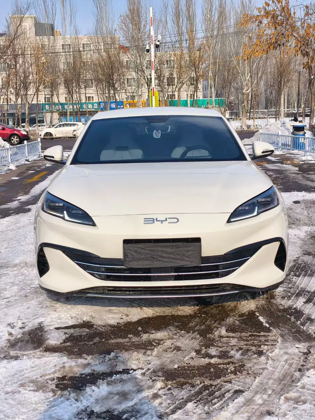 BYD Seal 06DM  из Китая