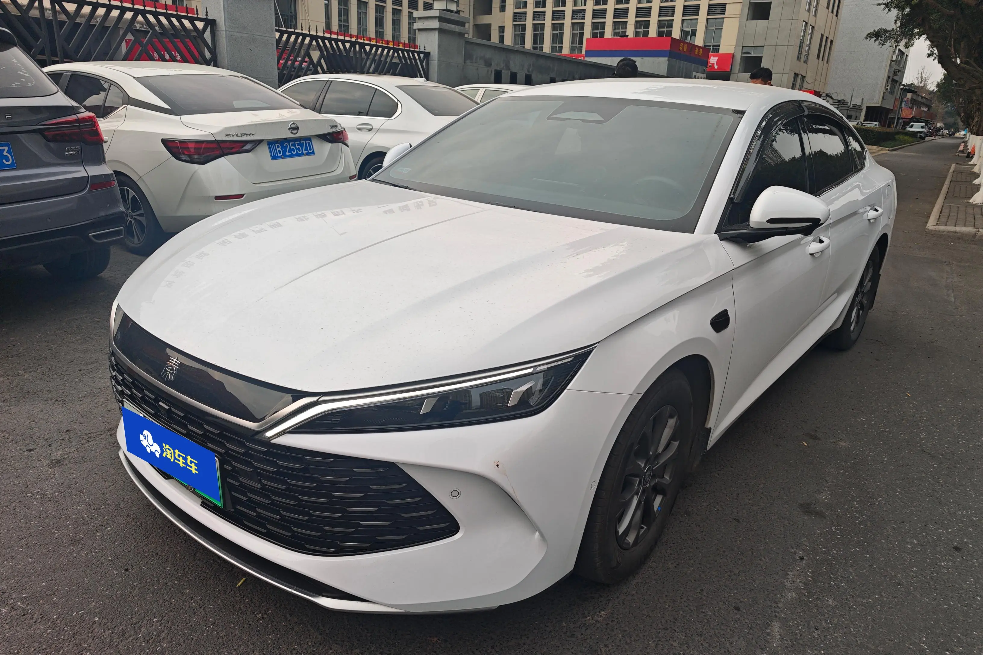 BYD Qin L DM  из Китая