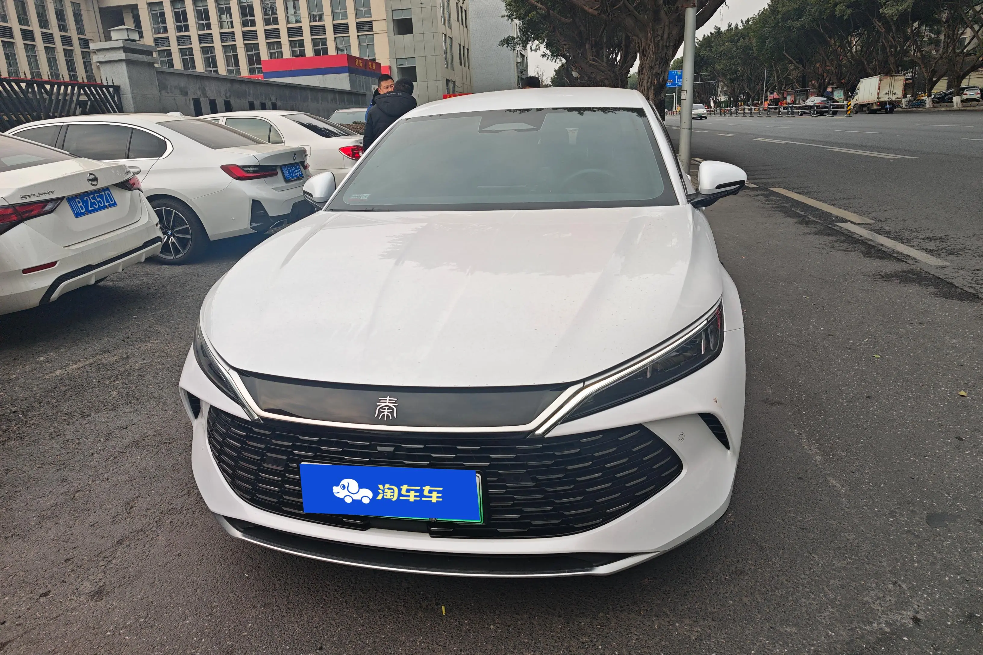 BYD Qin L DM  из Китая
