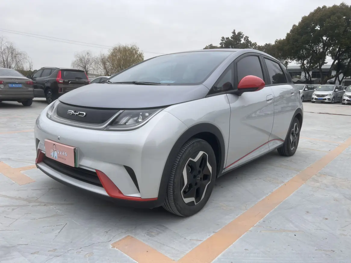 BYD Dolphin  из Китая