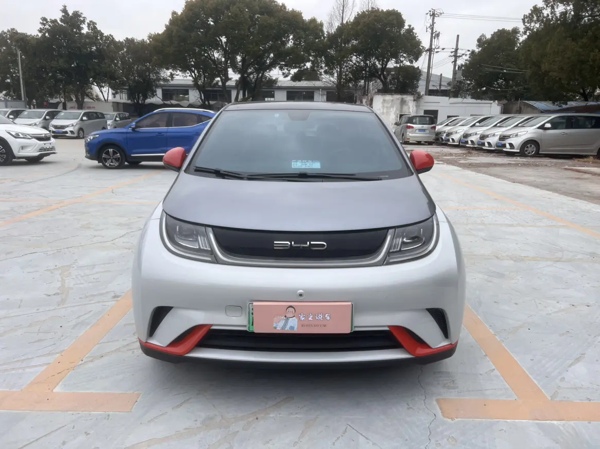 BYD Dolphin  из Китая