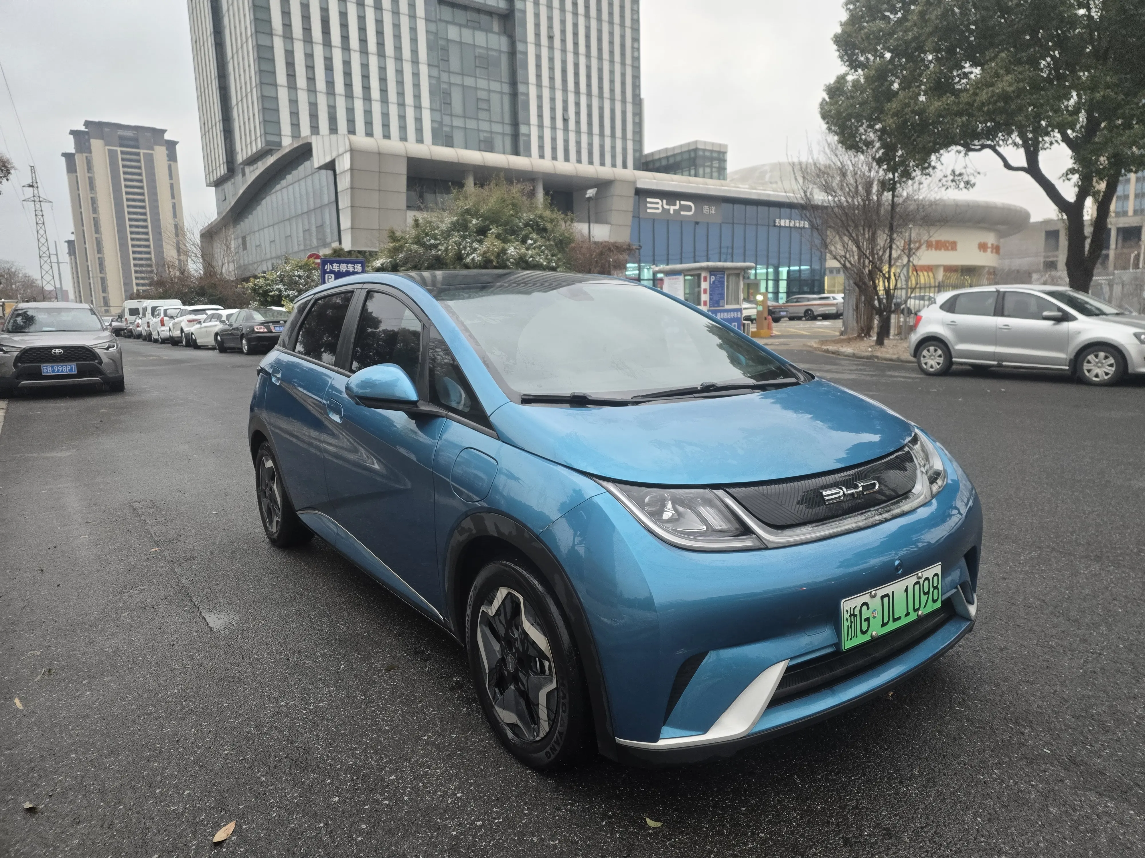 BYD Dolphin  из Китая