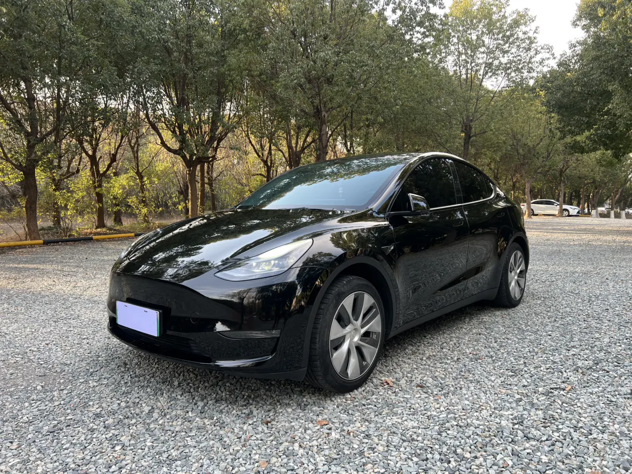 Tesla Model Y  из Китая