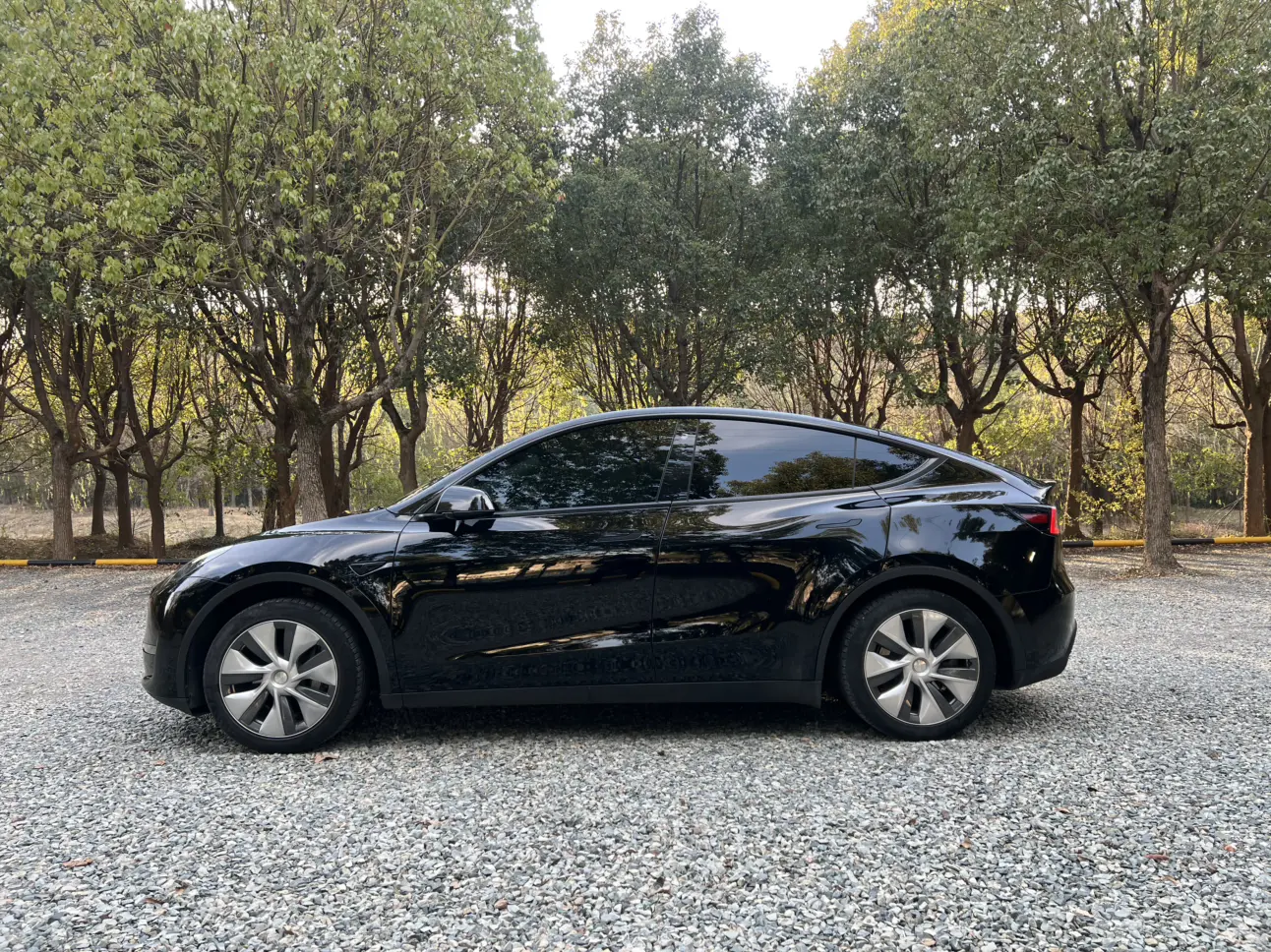 Tesla Model Y  из Китая