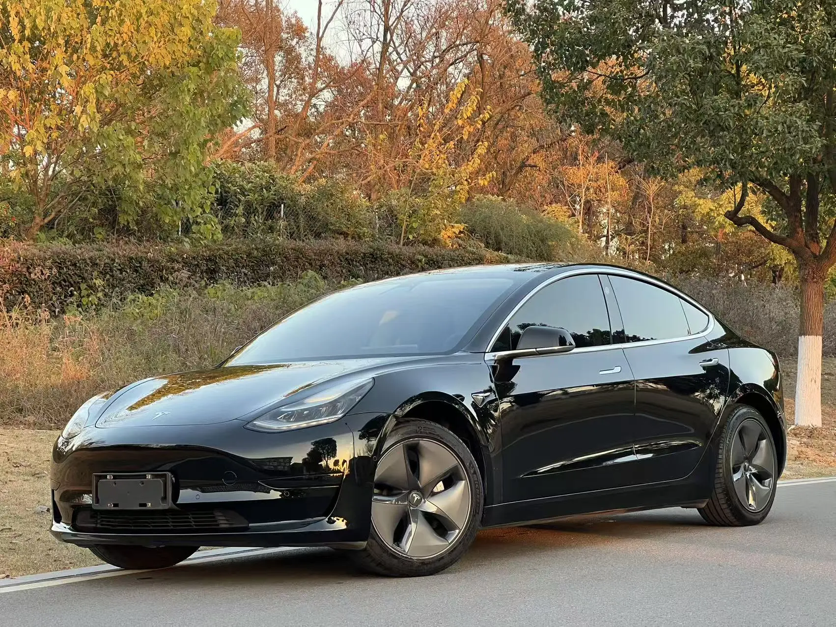 Tesla Model 3  из Китая