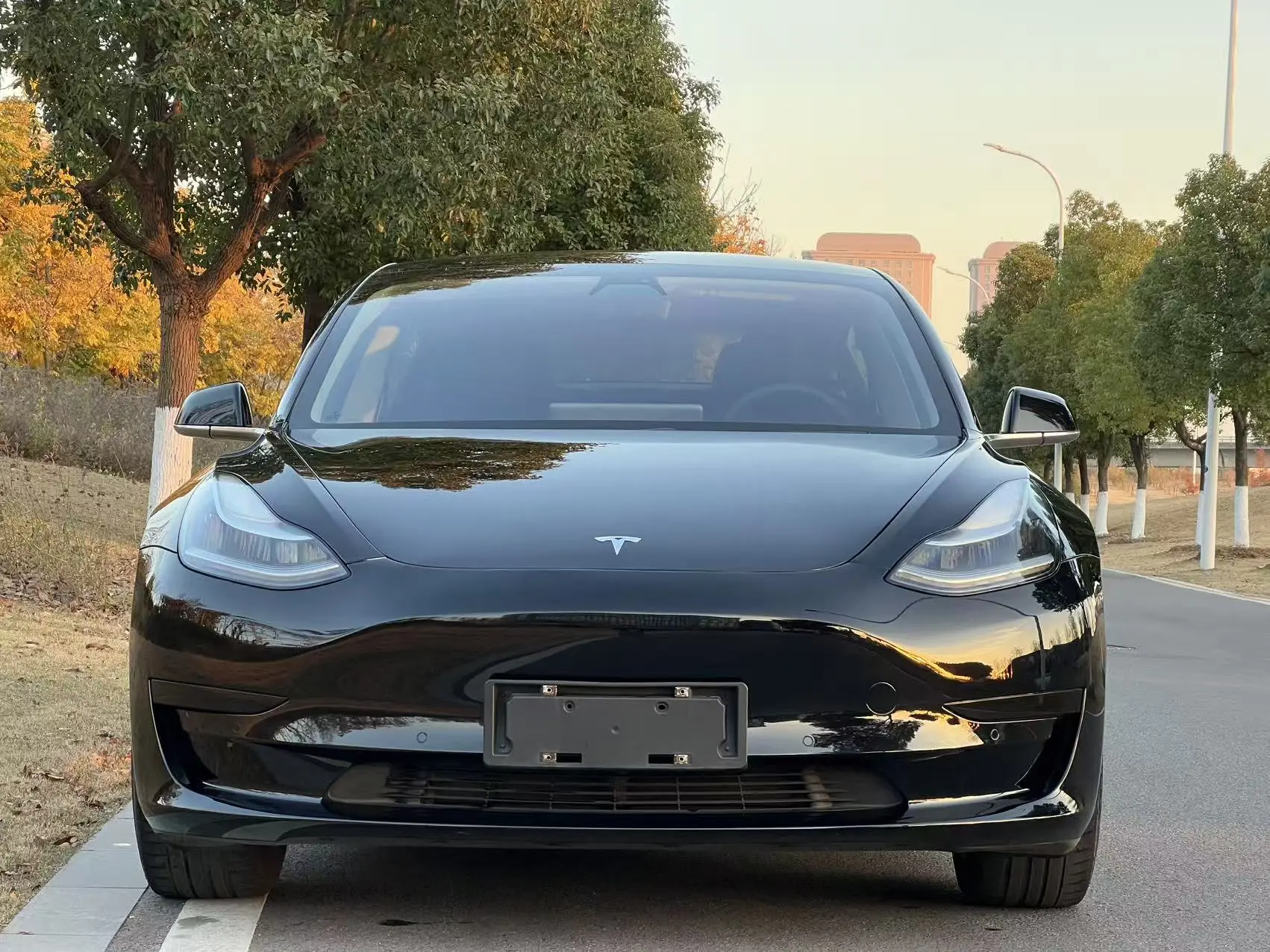 Tesla Model 3  из Китая