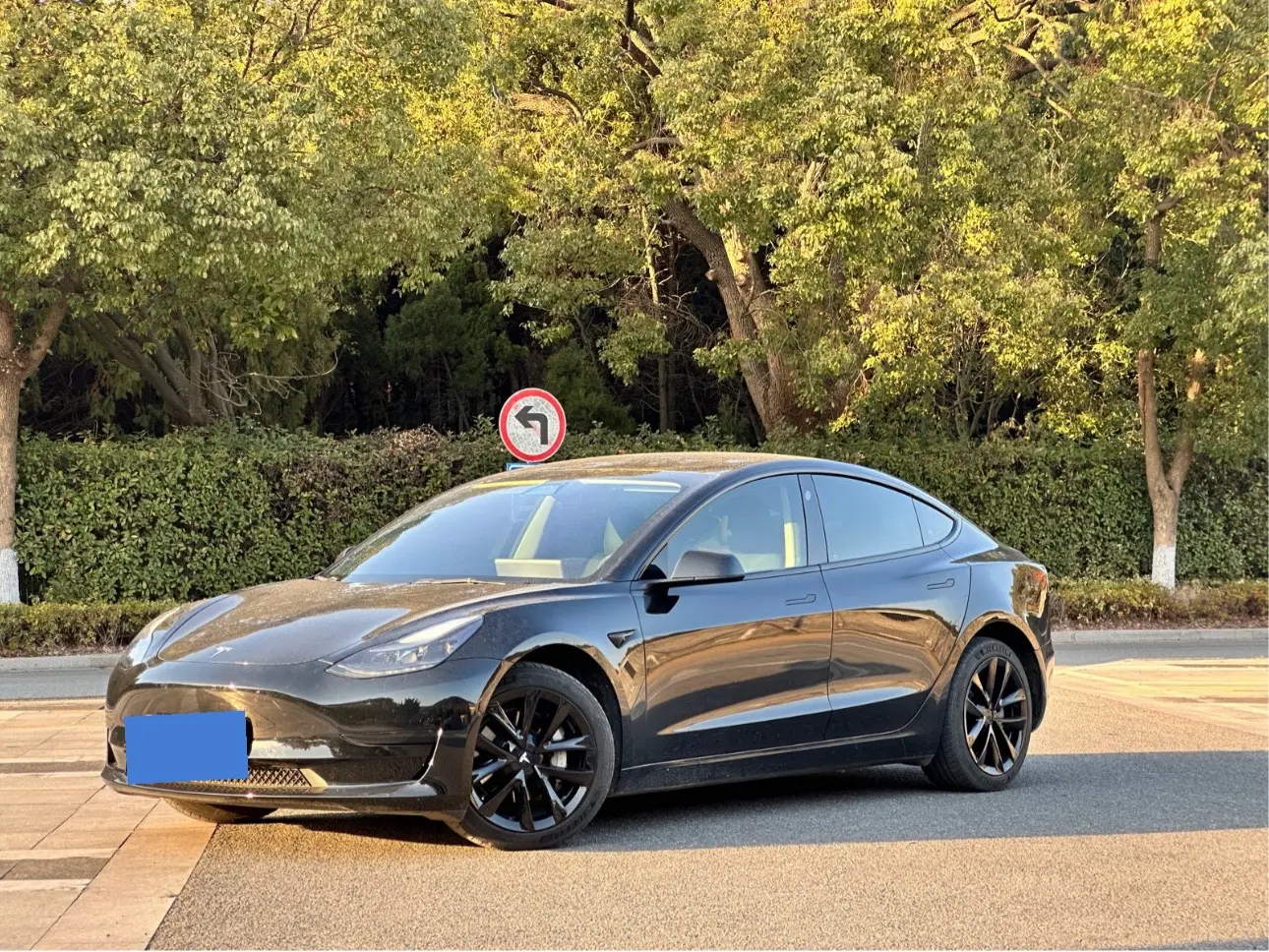 Tesla Model 3  из Китая