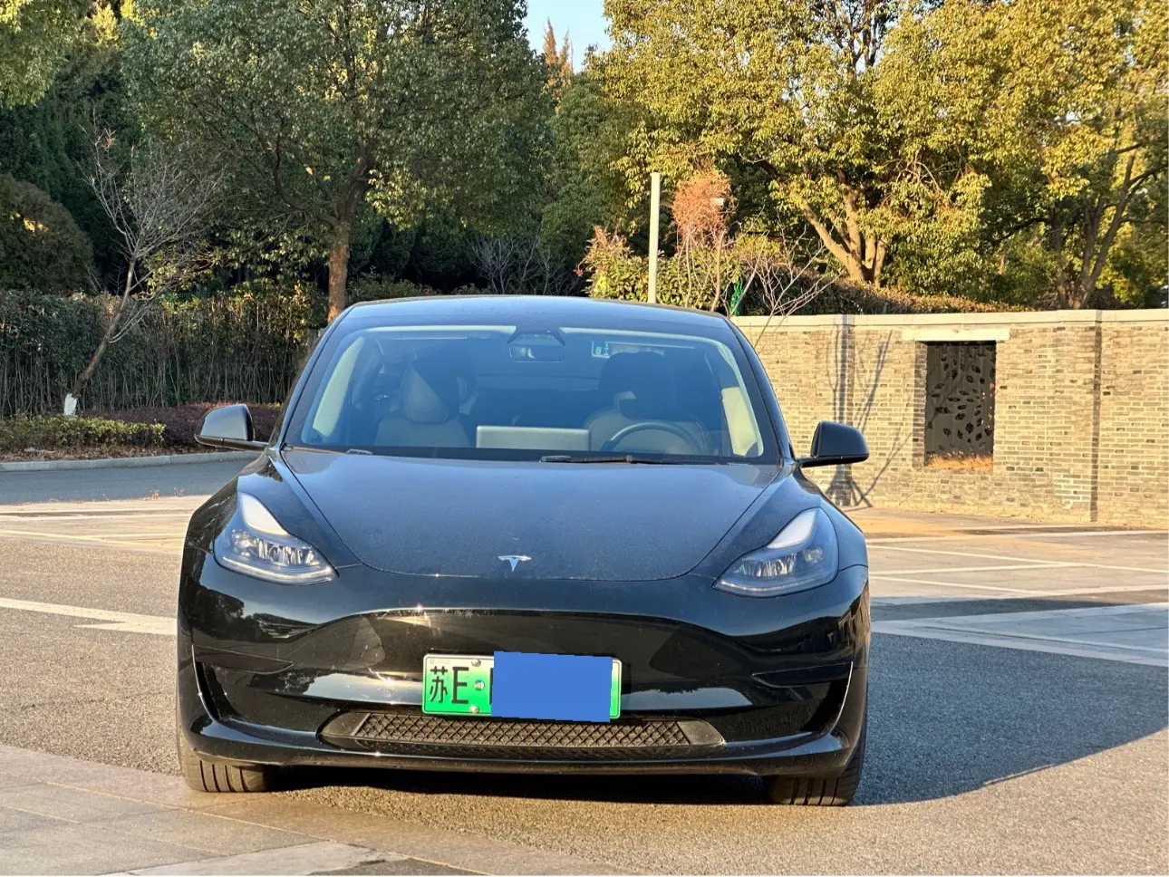 Tesla Model 3  из Китая