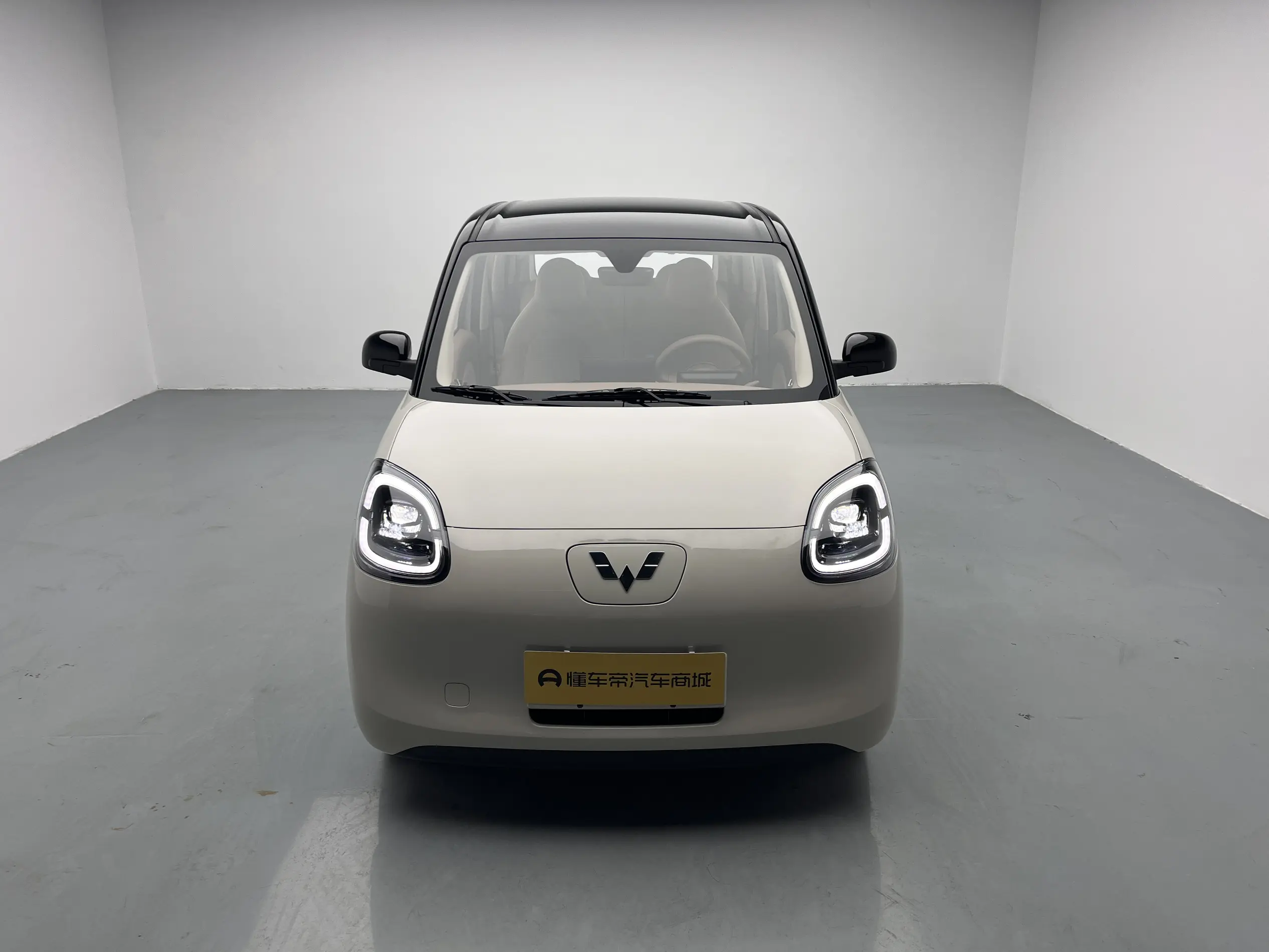 Wuling Hongguang MINIEV  из Китая