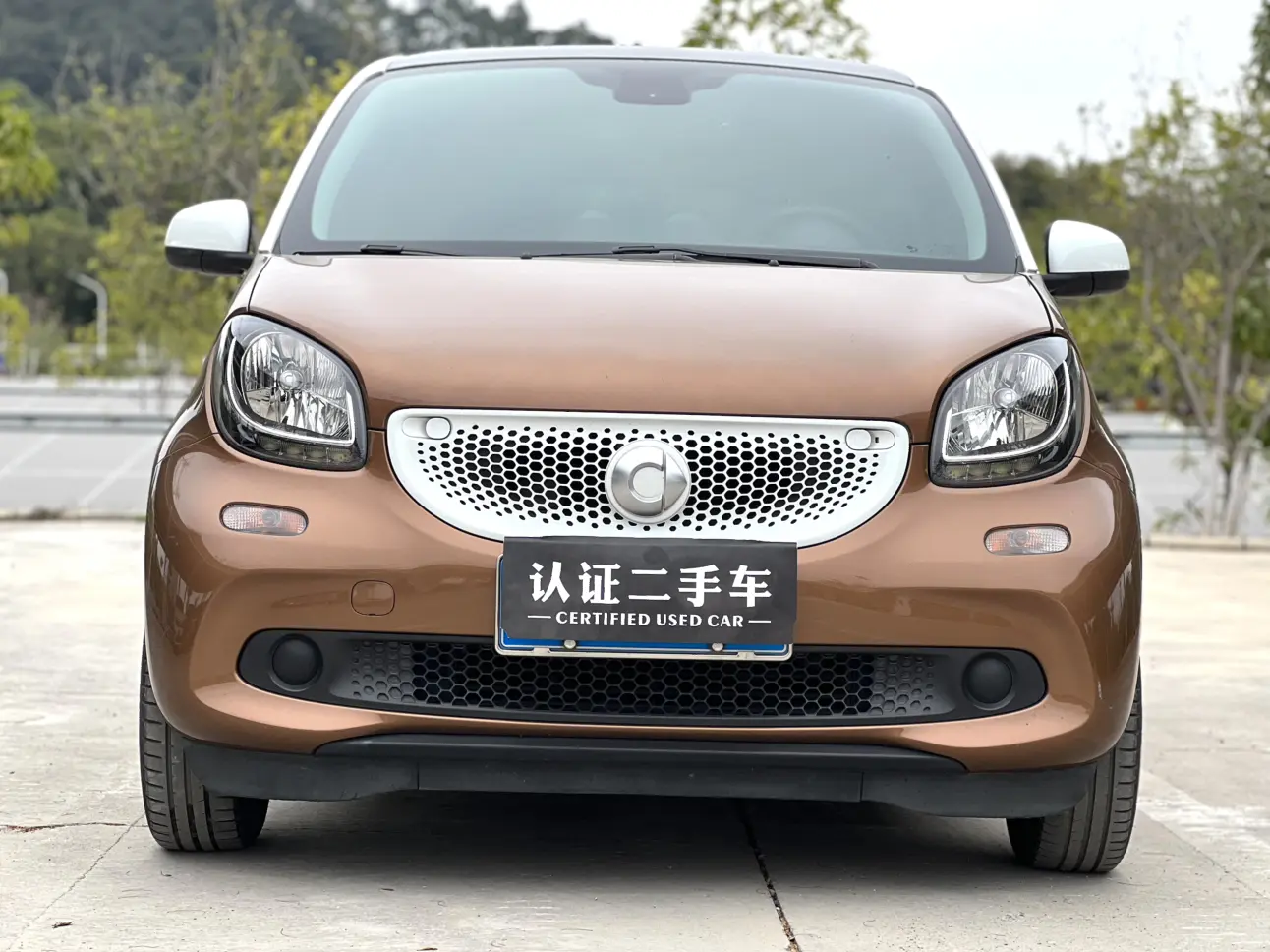 Smart forfour  из Китая