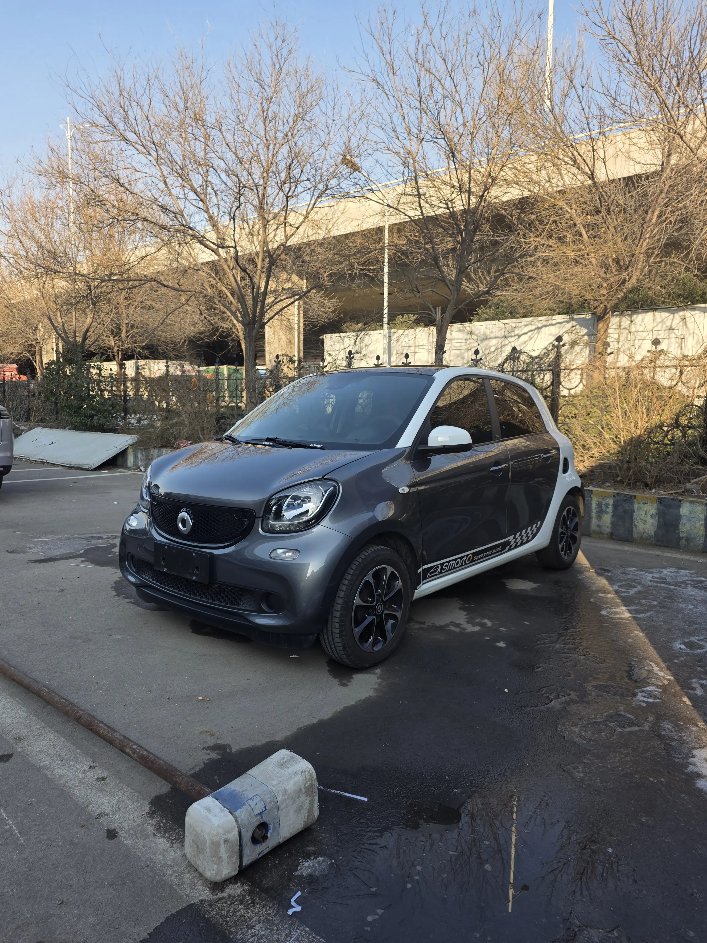 Smart forfour  из Китая