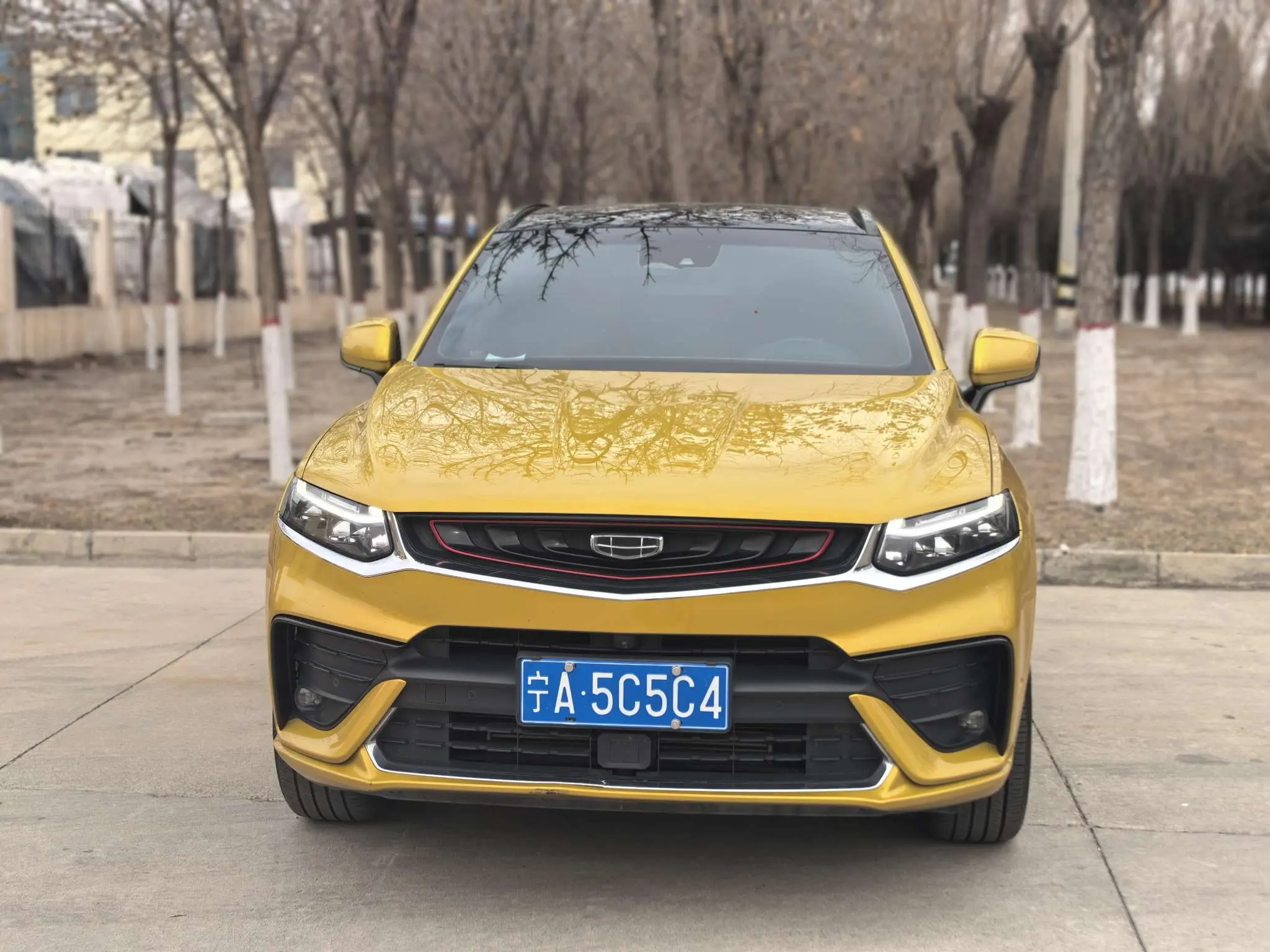 Geely Tugella (Xingyue)  из Китая