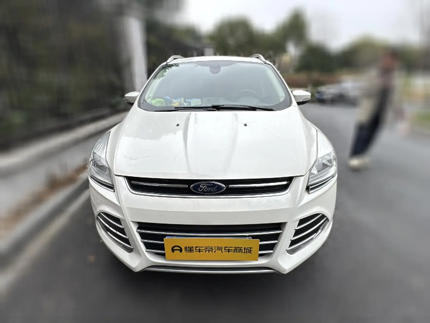 Ford Wing tiger  из Китая