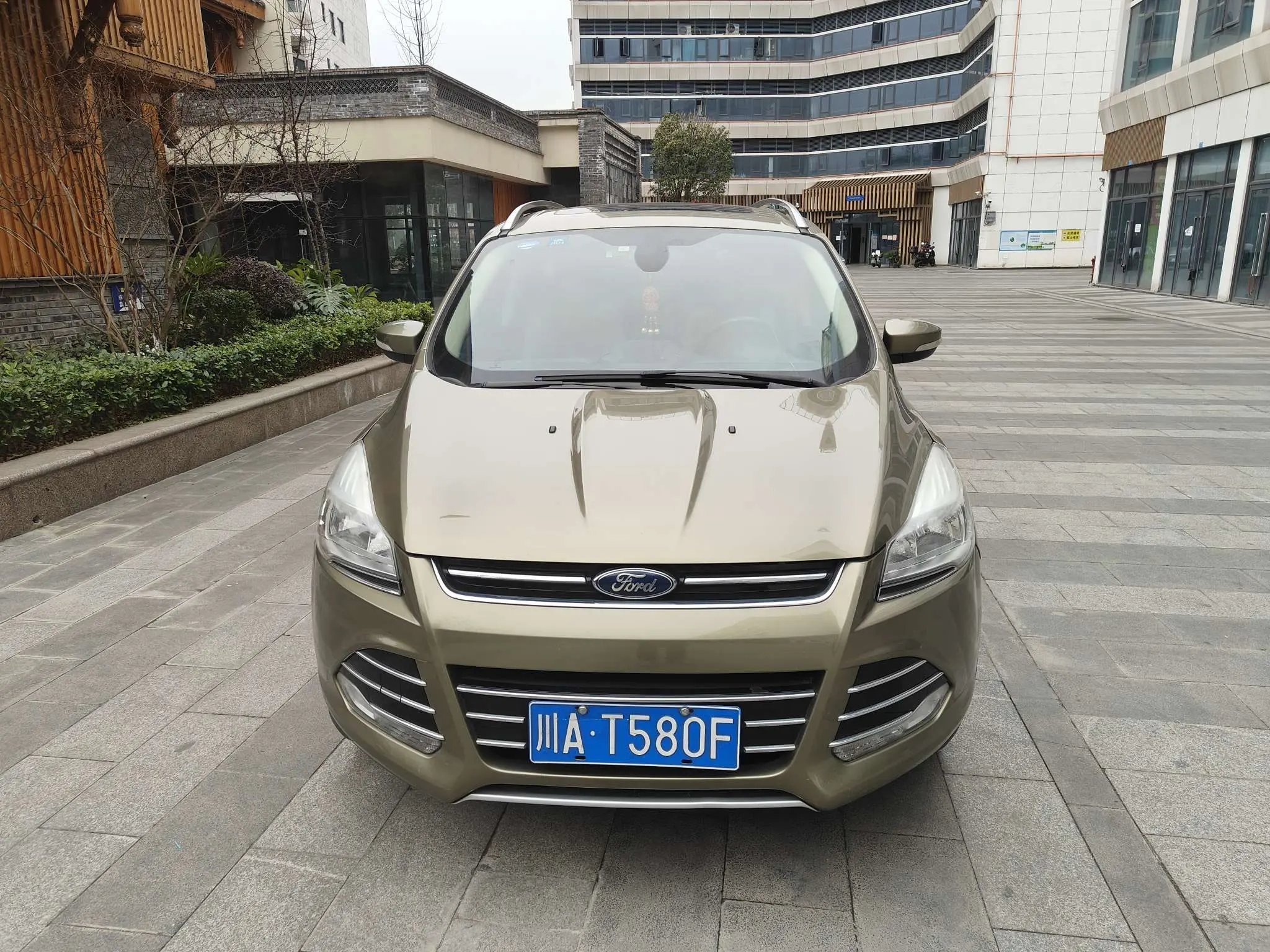 Ford Wing tiger  из Китая