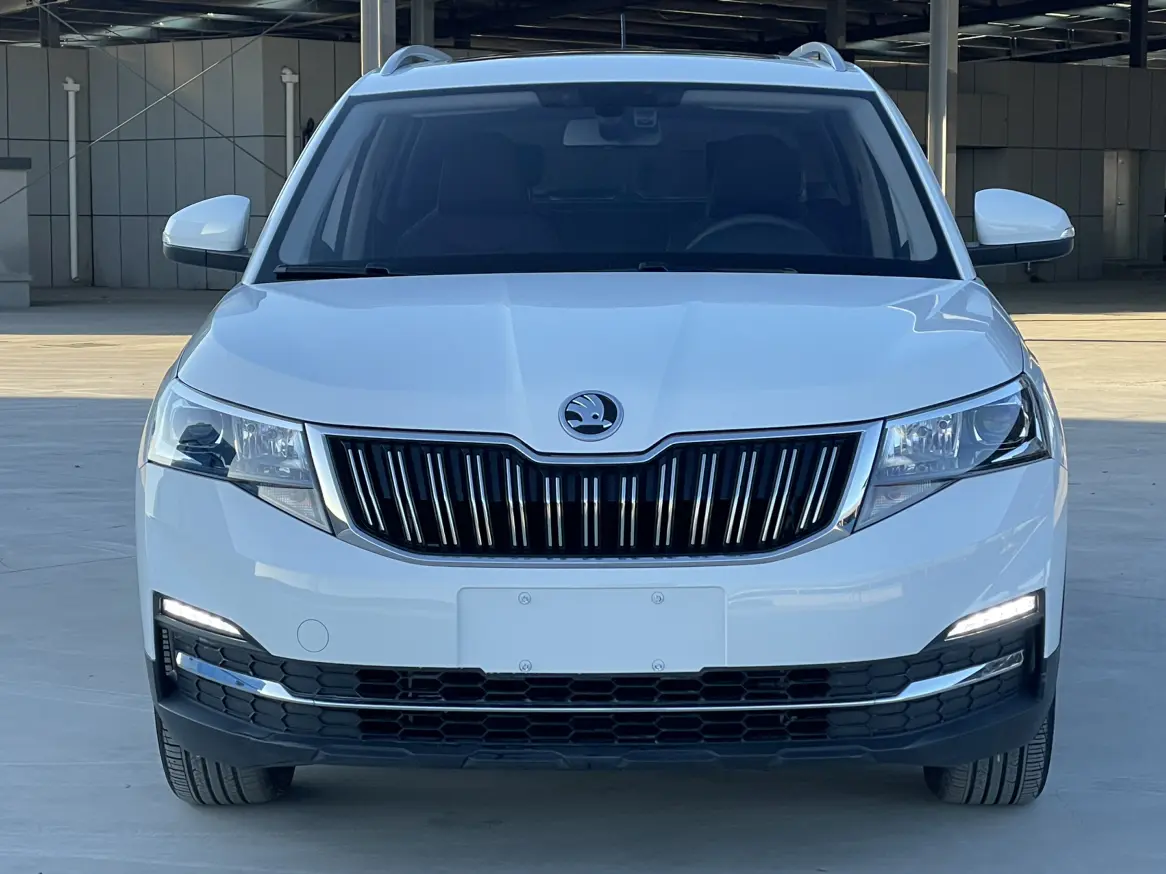 Skoda Comek  из Китая