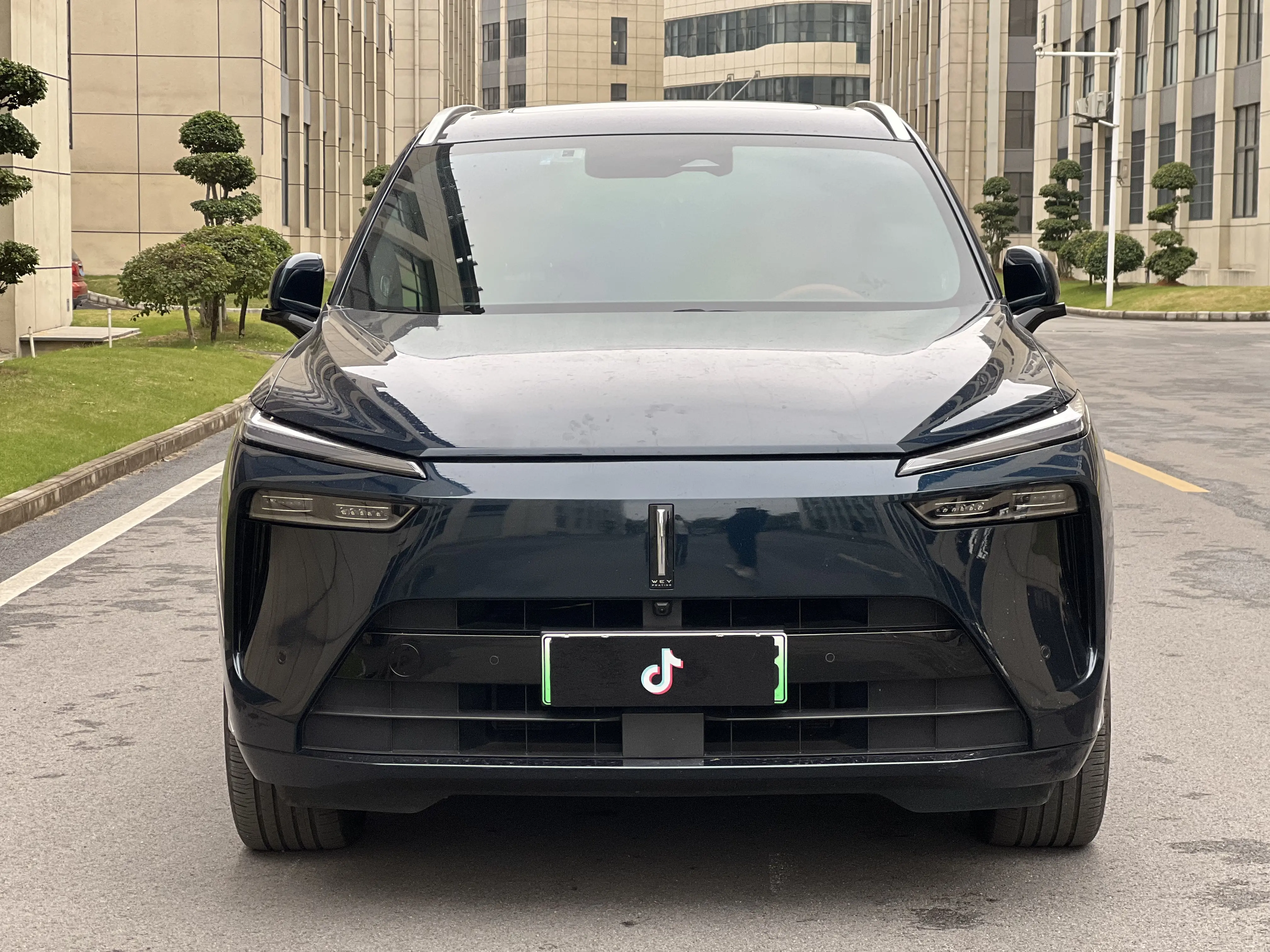 Wey Blue Mountain  из Китая