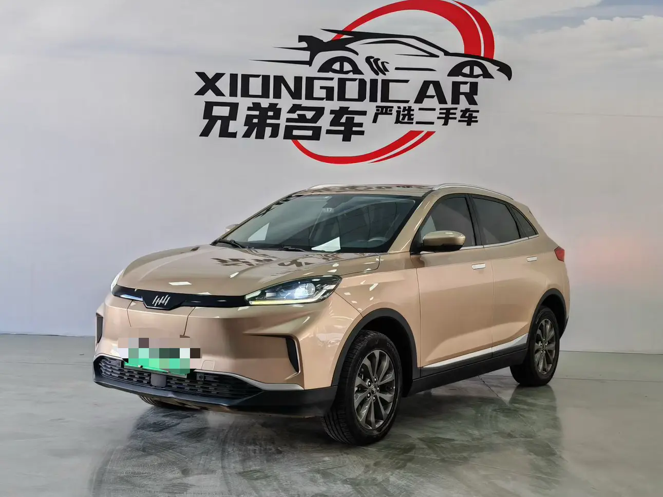 Weltmeister WM EX5  из Китая