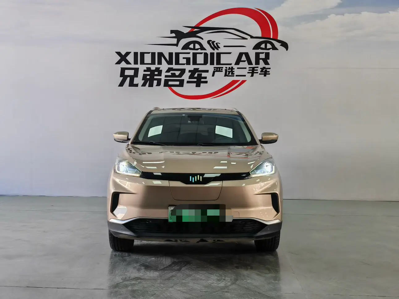 Weltmeister WM EX5  из Китая