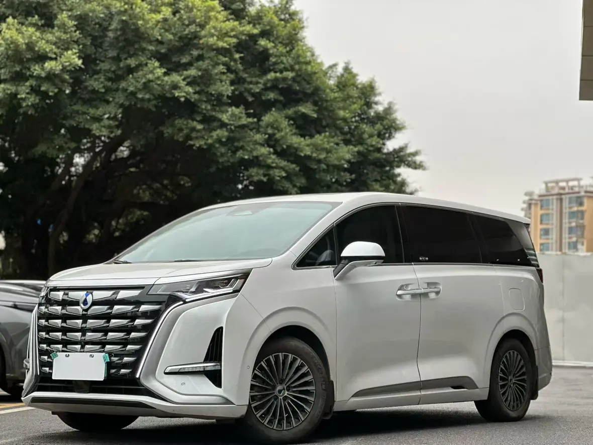 Denza D9 DM  из Китая